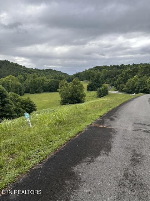 Mill Drive Decatur TN 37322