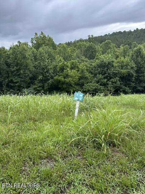 Mill Drive Decatur TN 37322