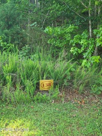 Lot 138 E Shore Drive Rockwood TN 37854
