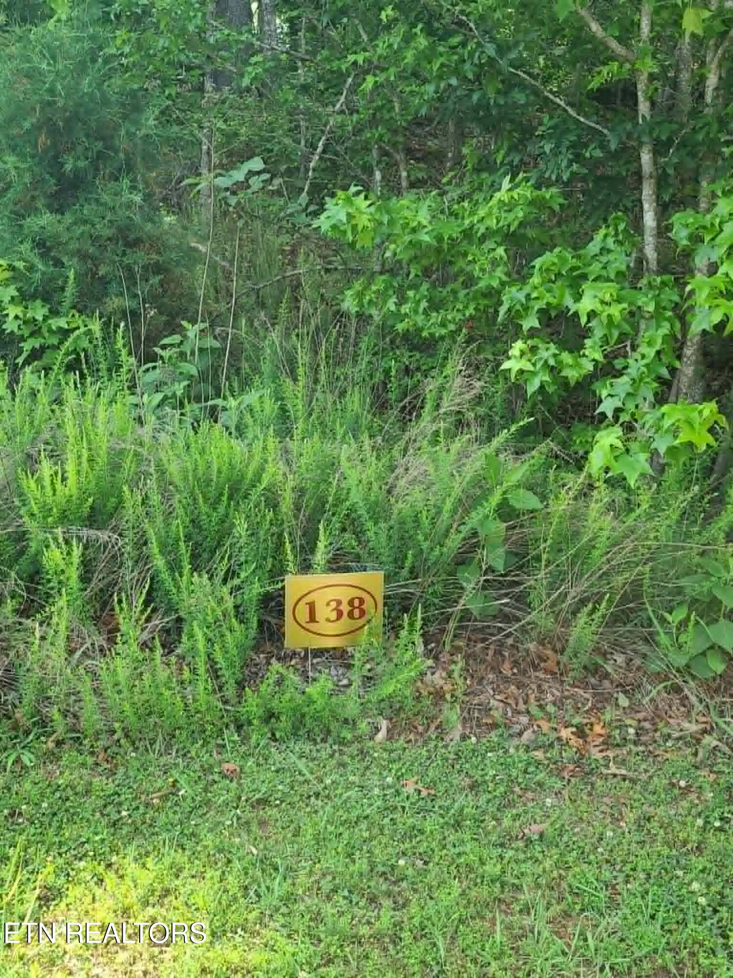 Lot 138 E Shore Drive Rockwood TN 37854