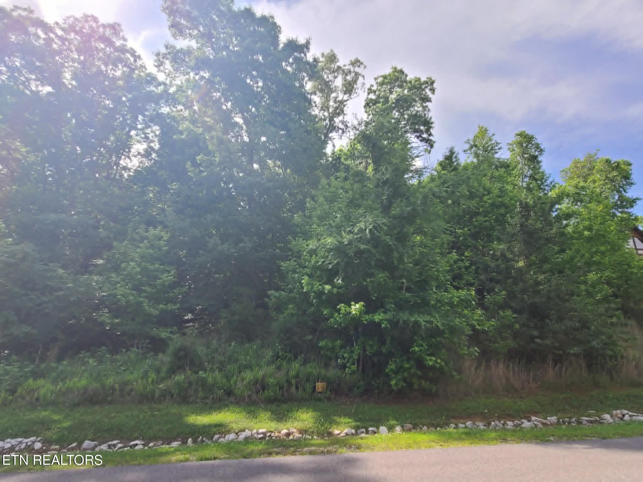 Lot 138 E Shore Drive Rockwood TN 37854