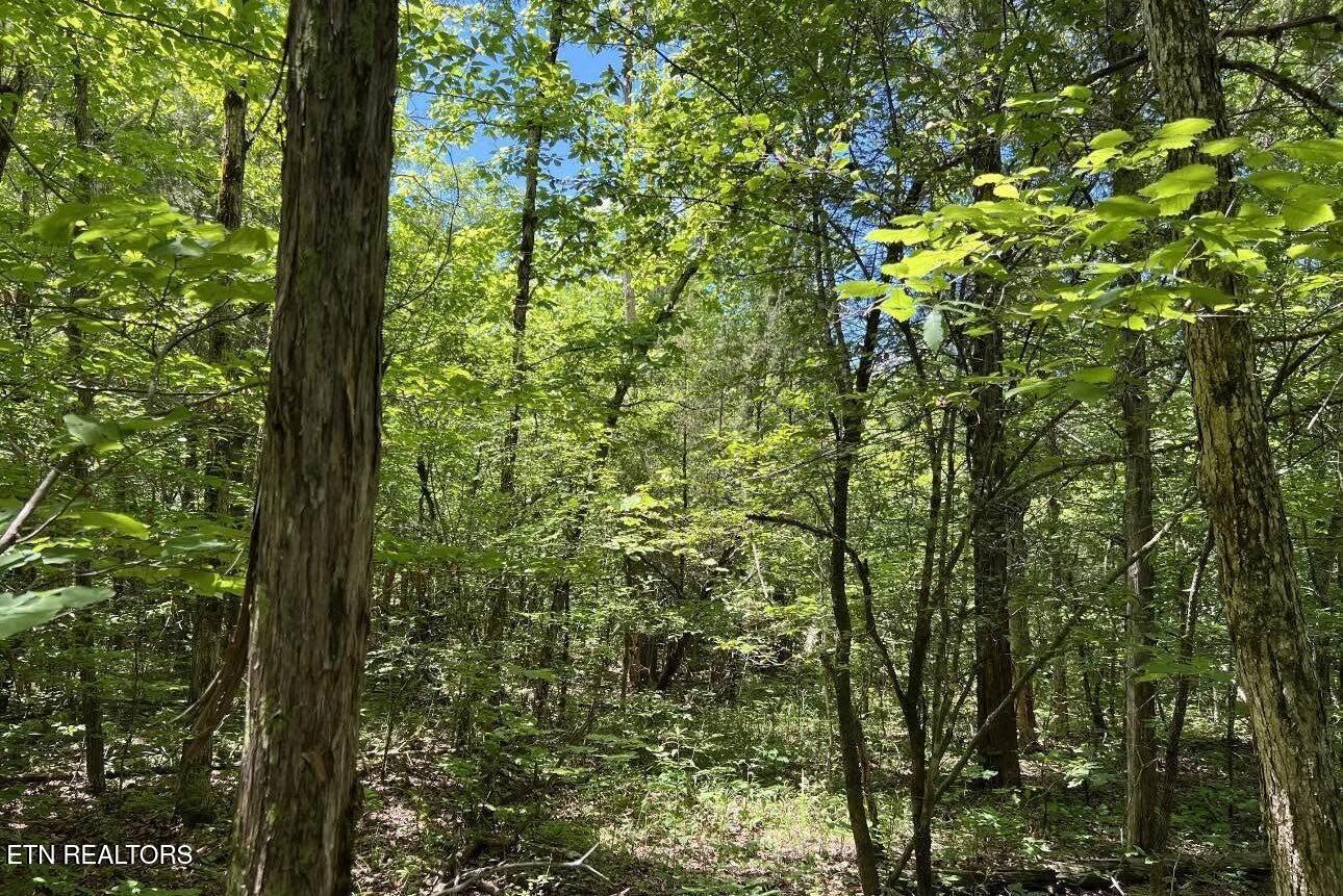 158 Eagle Ridge Road Kingston TN 37763