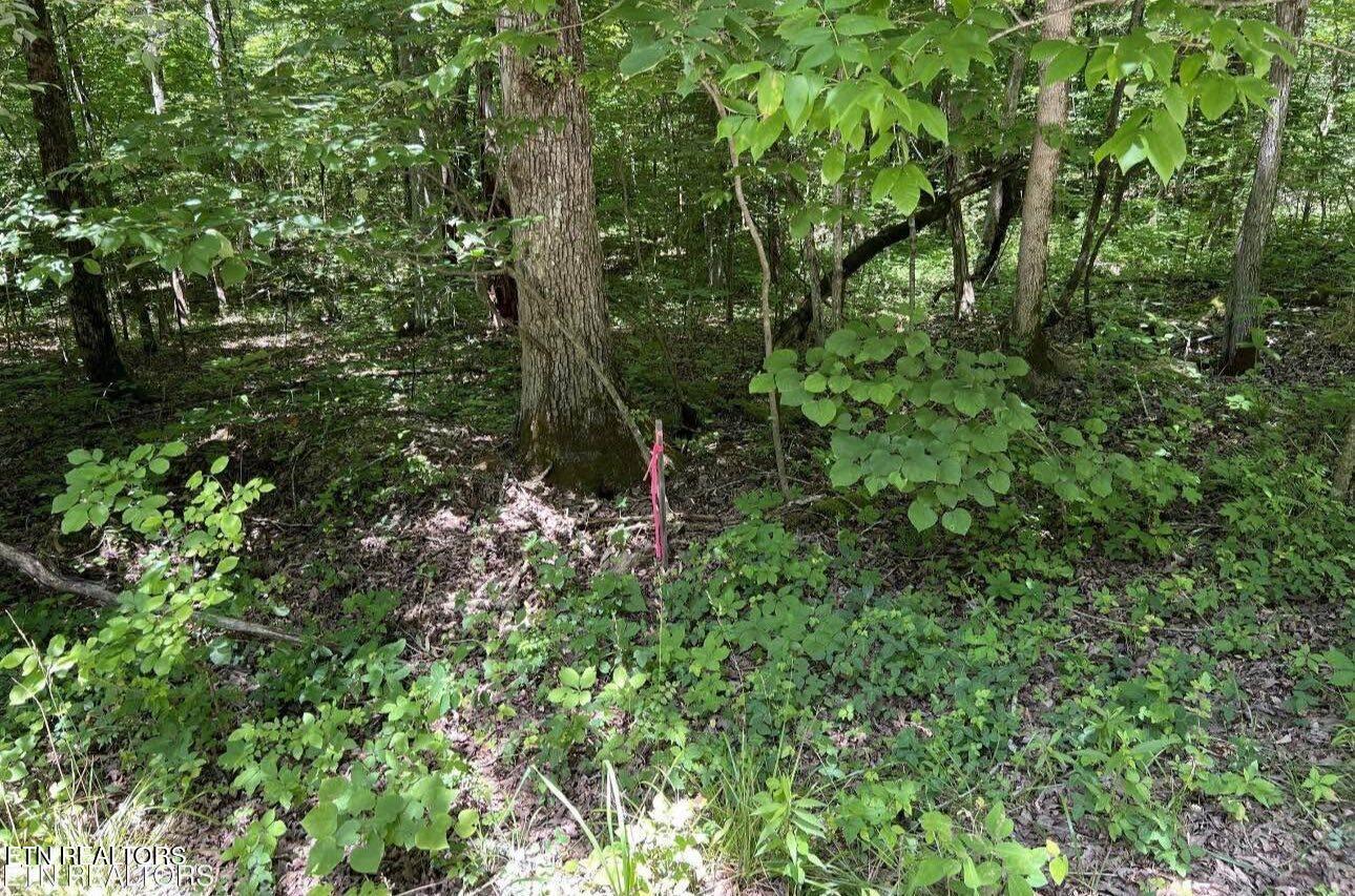158 Eagle Ridge Road Kingston TN 37763