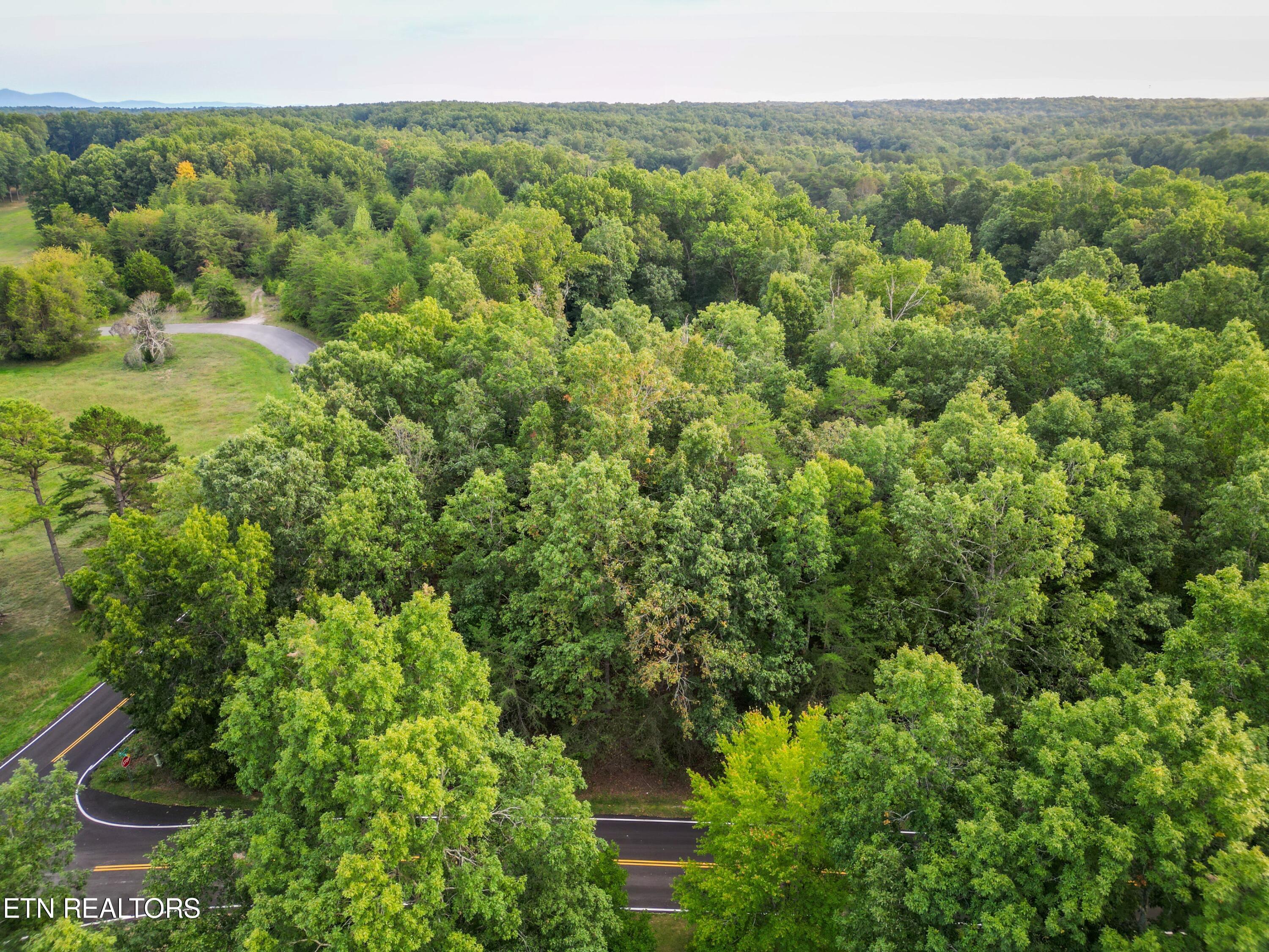 Tennessee Avenue Crossville TN 38555