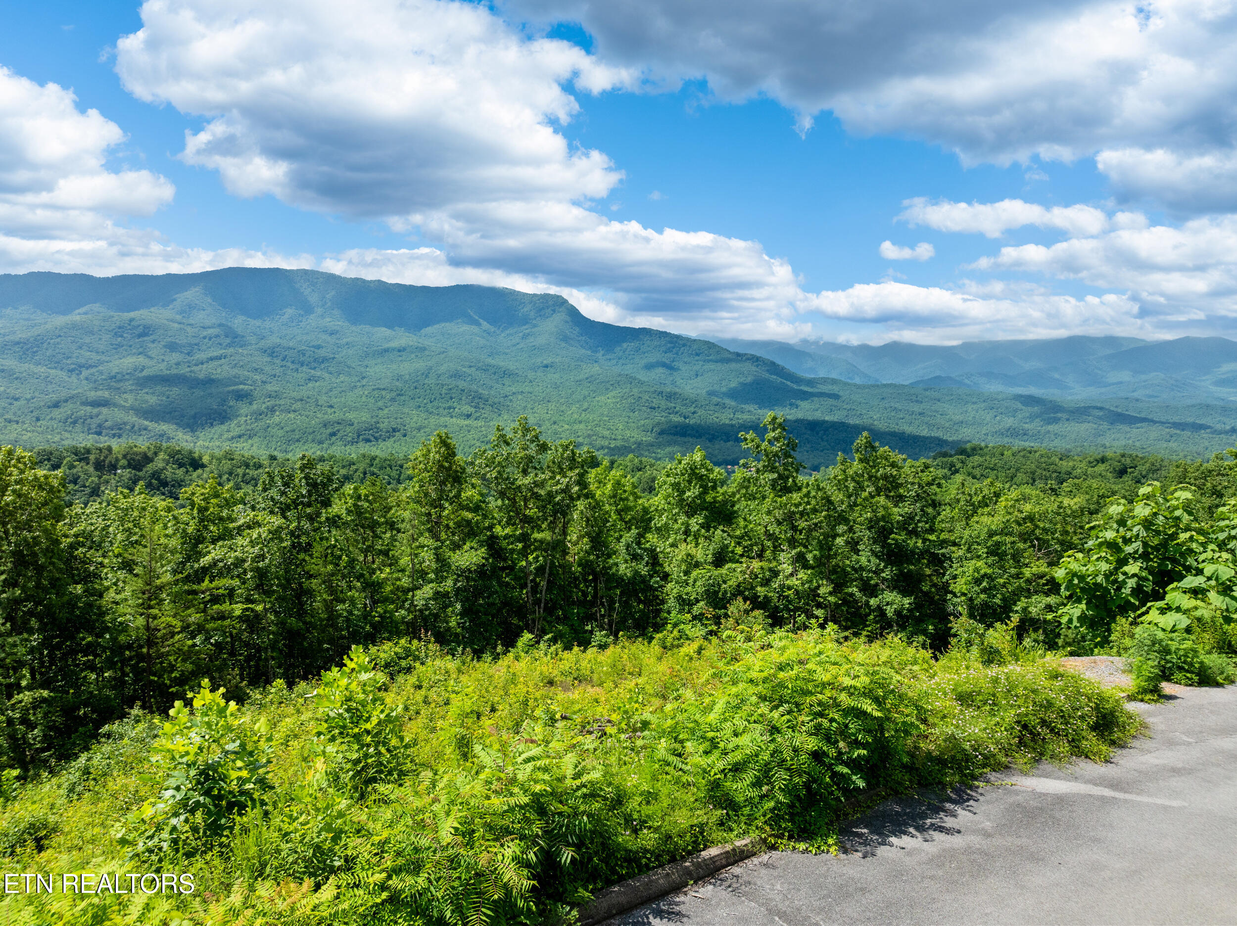 648 Almost Heaven Way Gatlinburg TN 37738