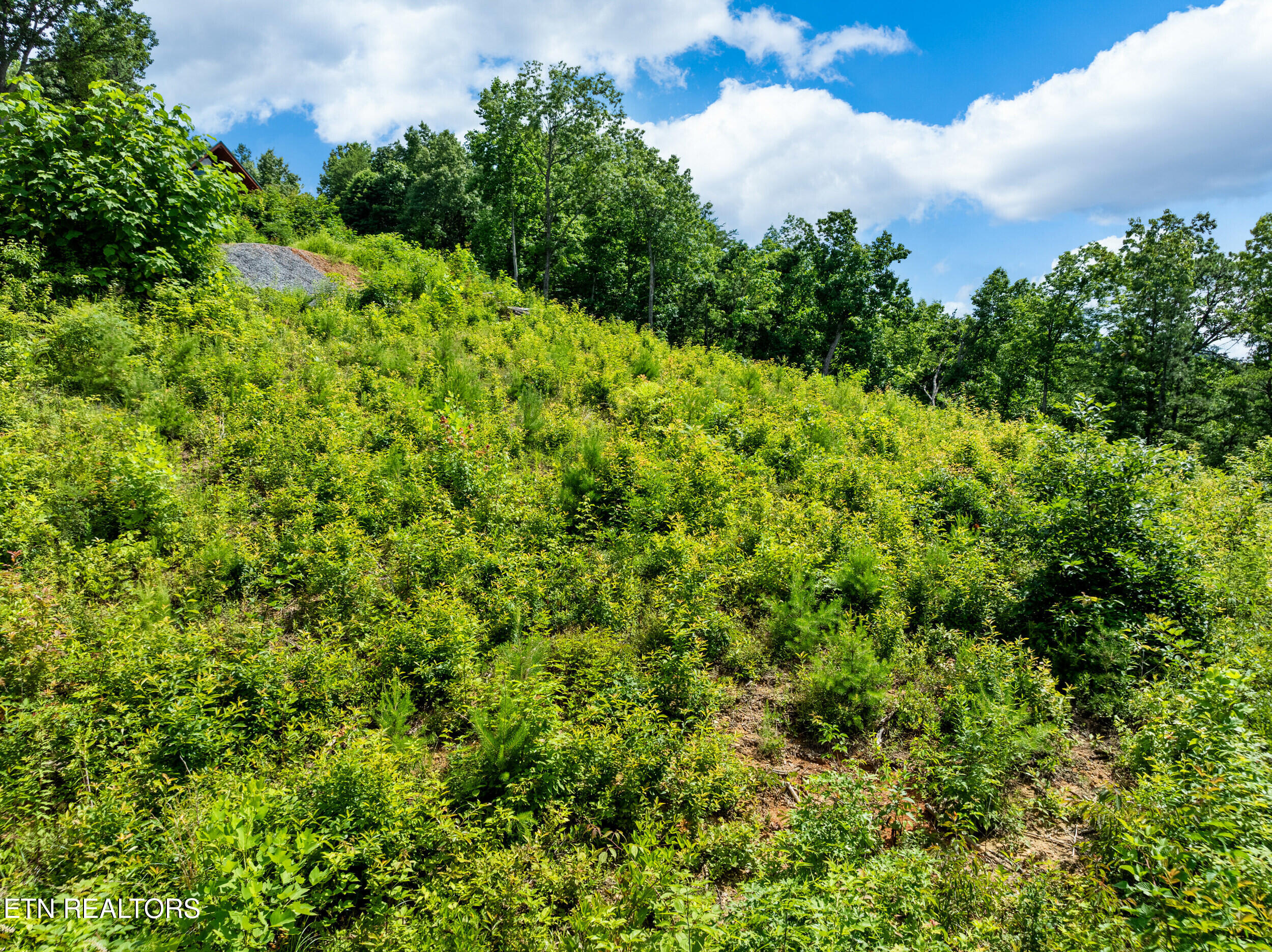 648 Almost Heaven Way Gatlinburg TN 37738