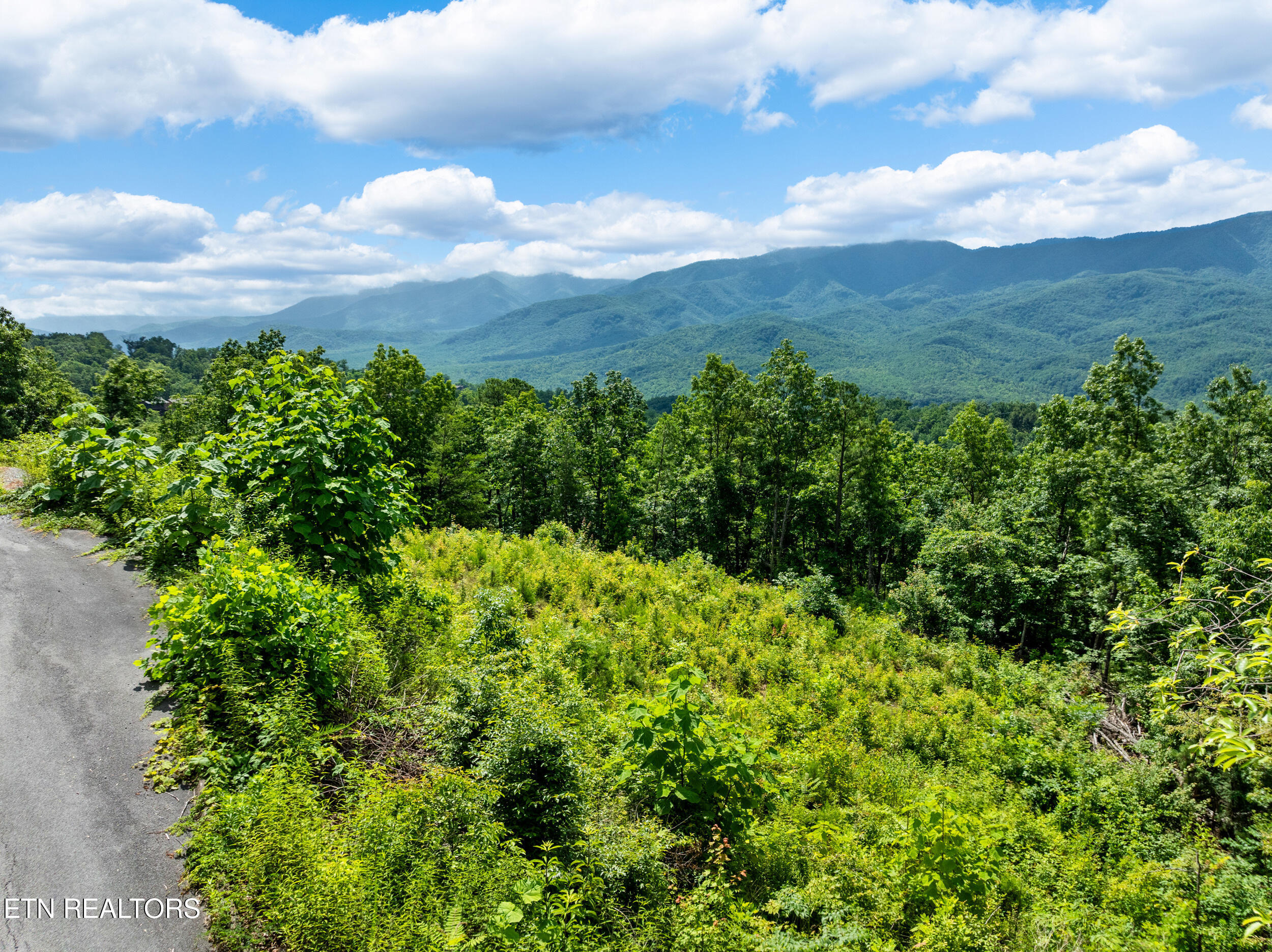 648 Almost Heaven Way Gatlinburg TN 37738