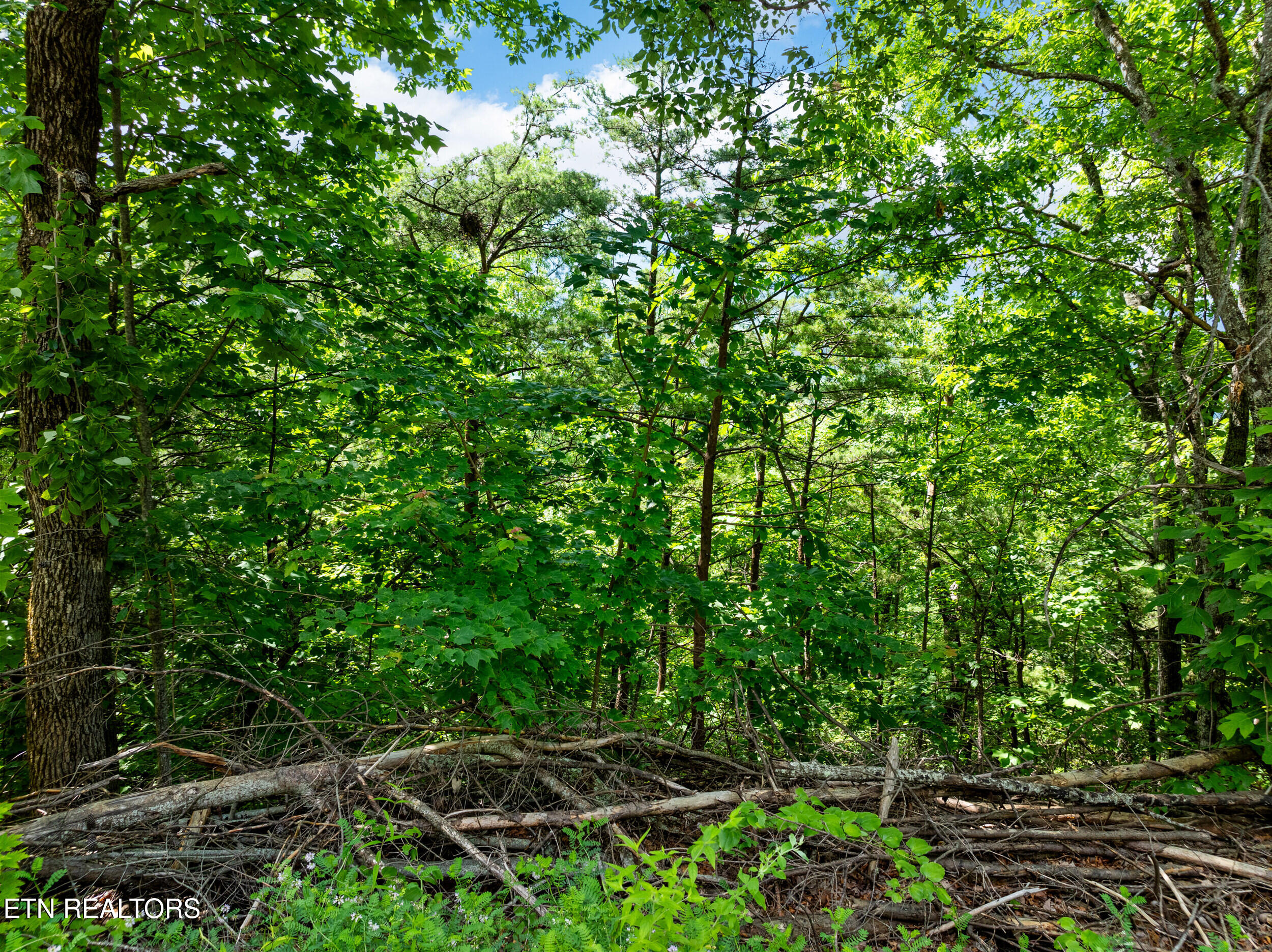 648 Almost Heaven Way Gatlinburg TN 37738