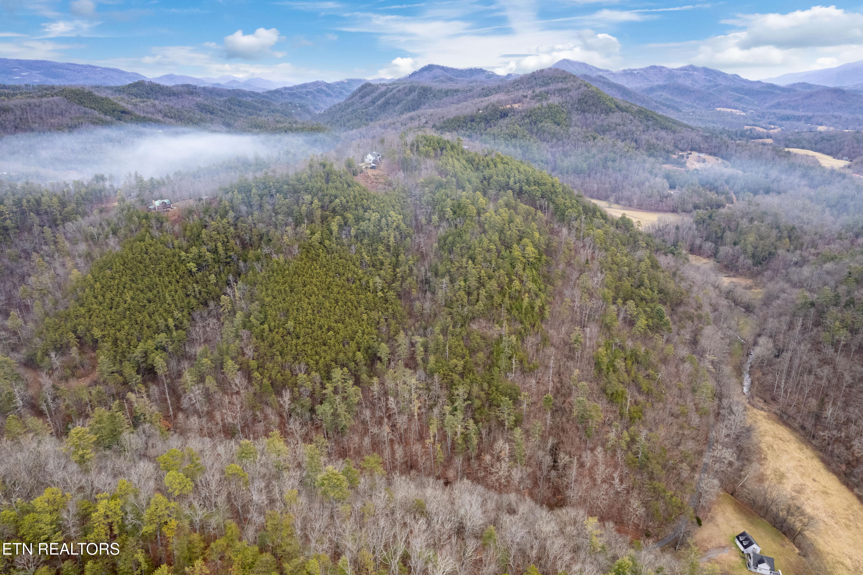 Twin Oak Mountain Lane Townsend TN 37882