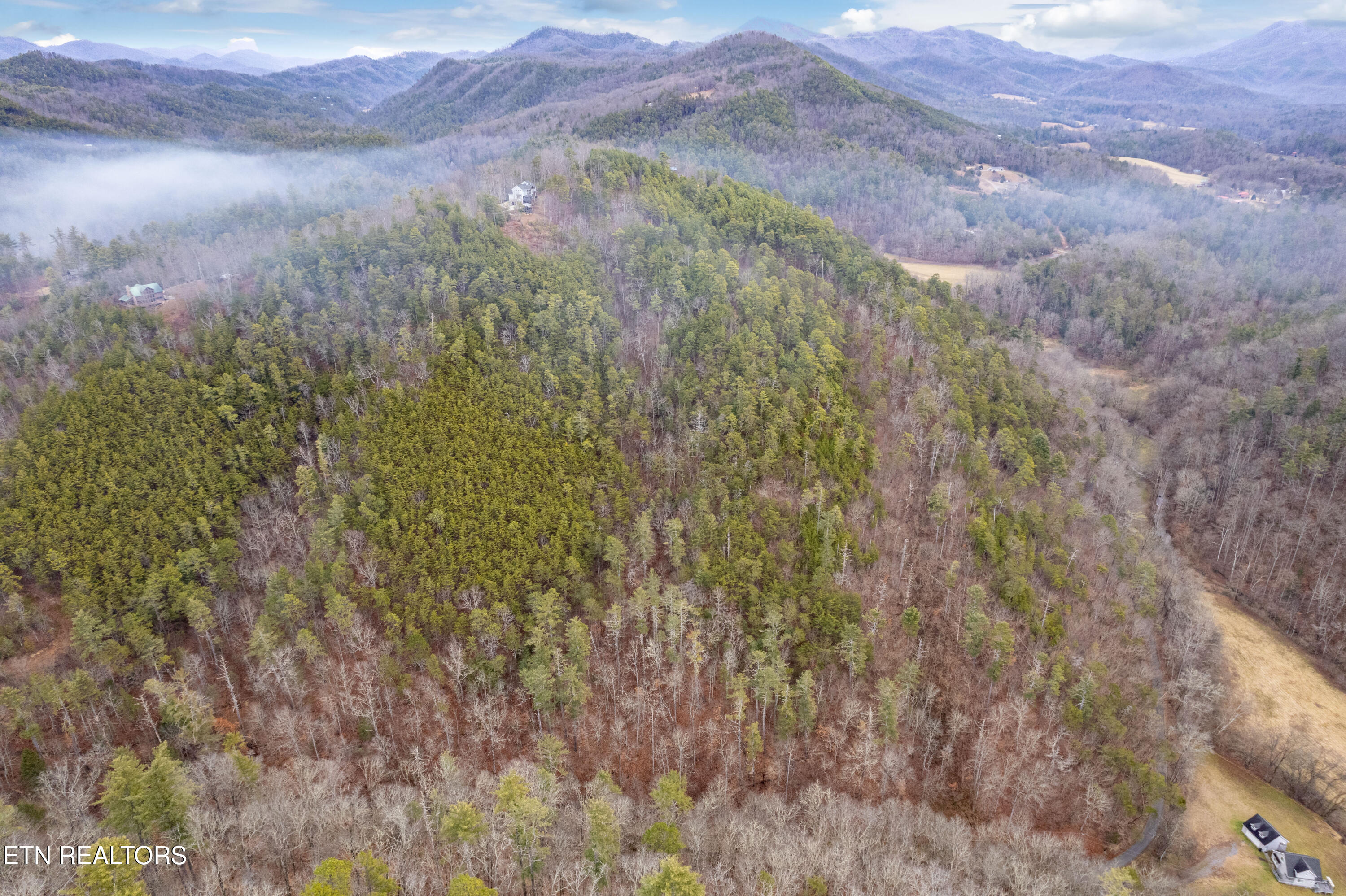 Twin Oak Mountain Lane Townsend TN 37882