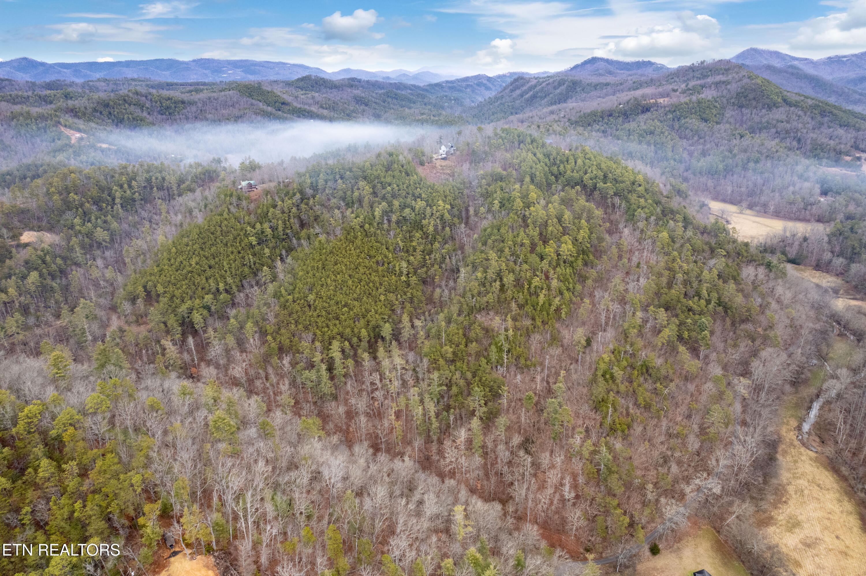 Twin Oak Mountain Lane Townsend TN 37882