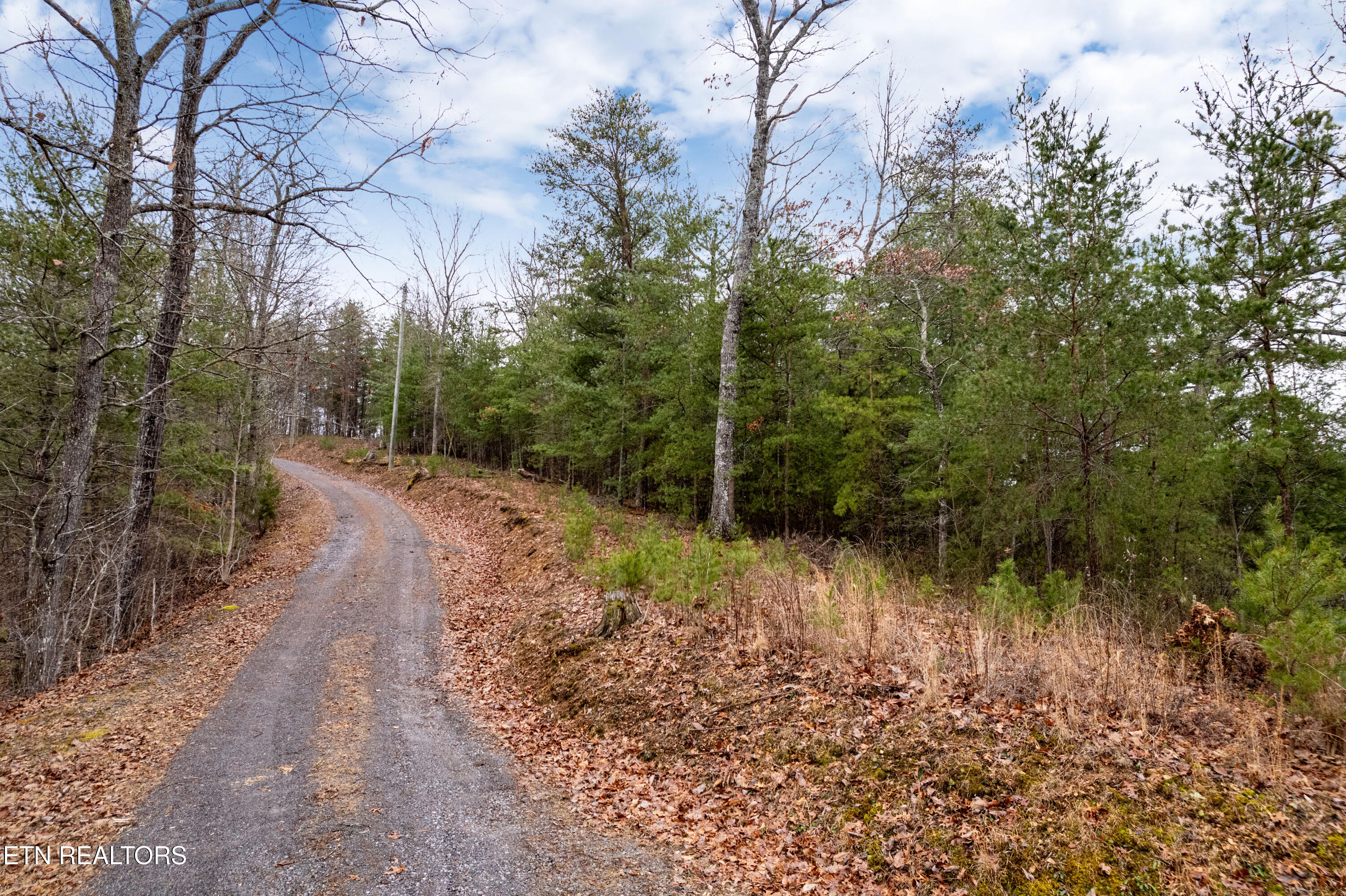 Twin Oak Mountain Lane Townsend TN 37882