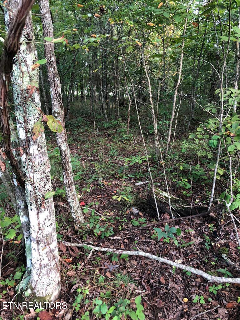 39 Luka Lane Crossville TN 38572