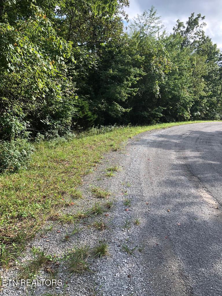39 Luka Lane Crossville TN 38572