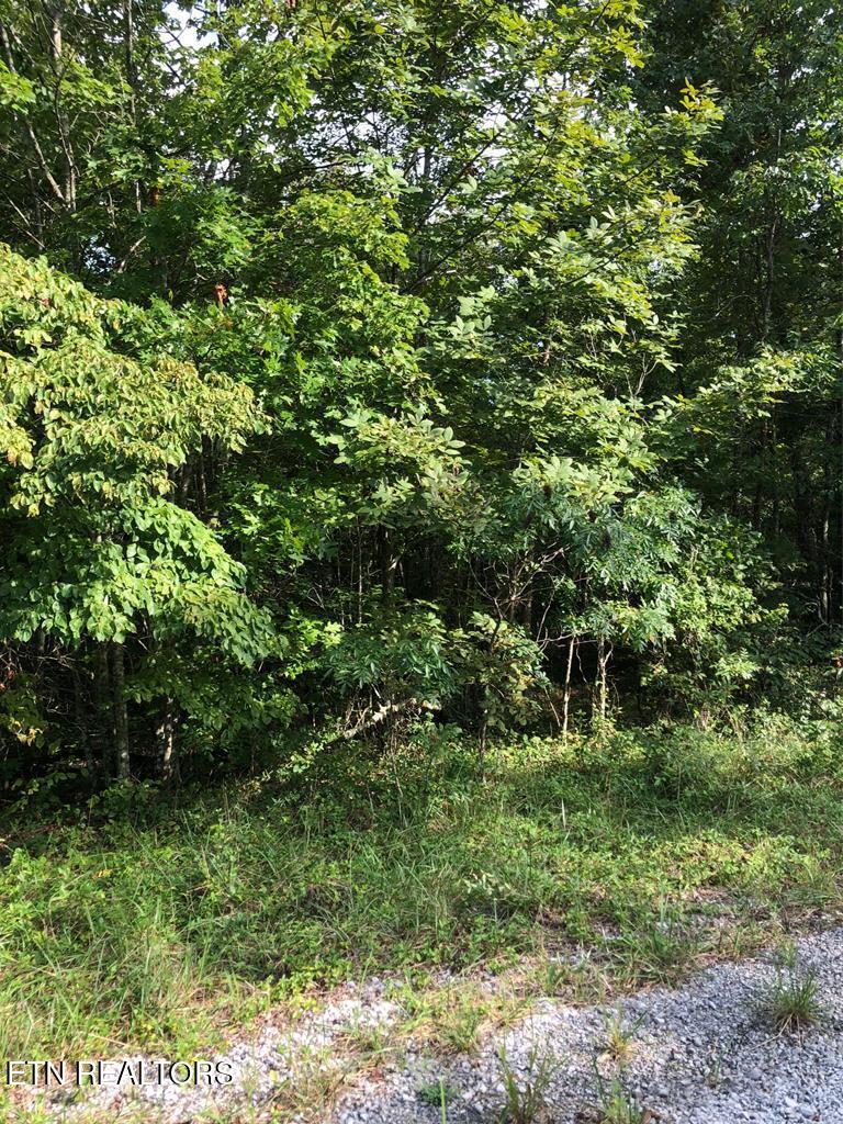 39 Luka Lane Crossville TN 38572