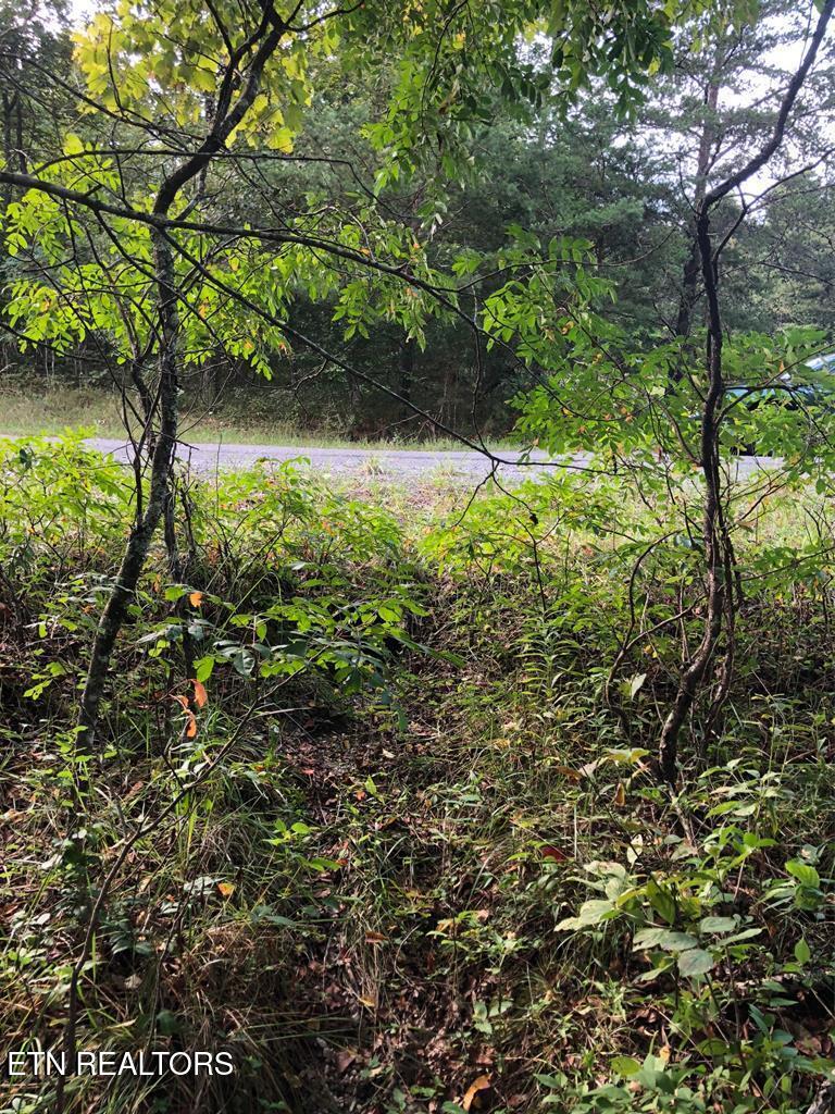 39 Luka Lane Crossville TN 38572