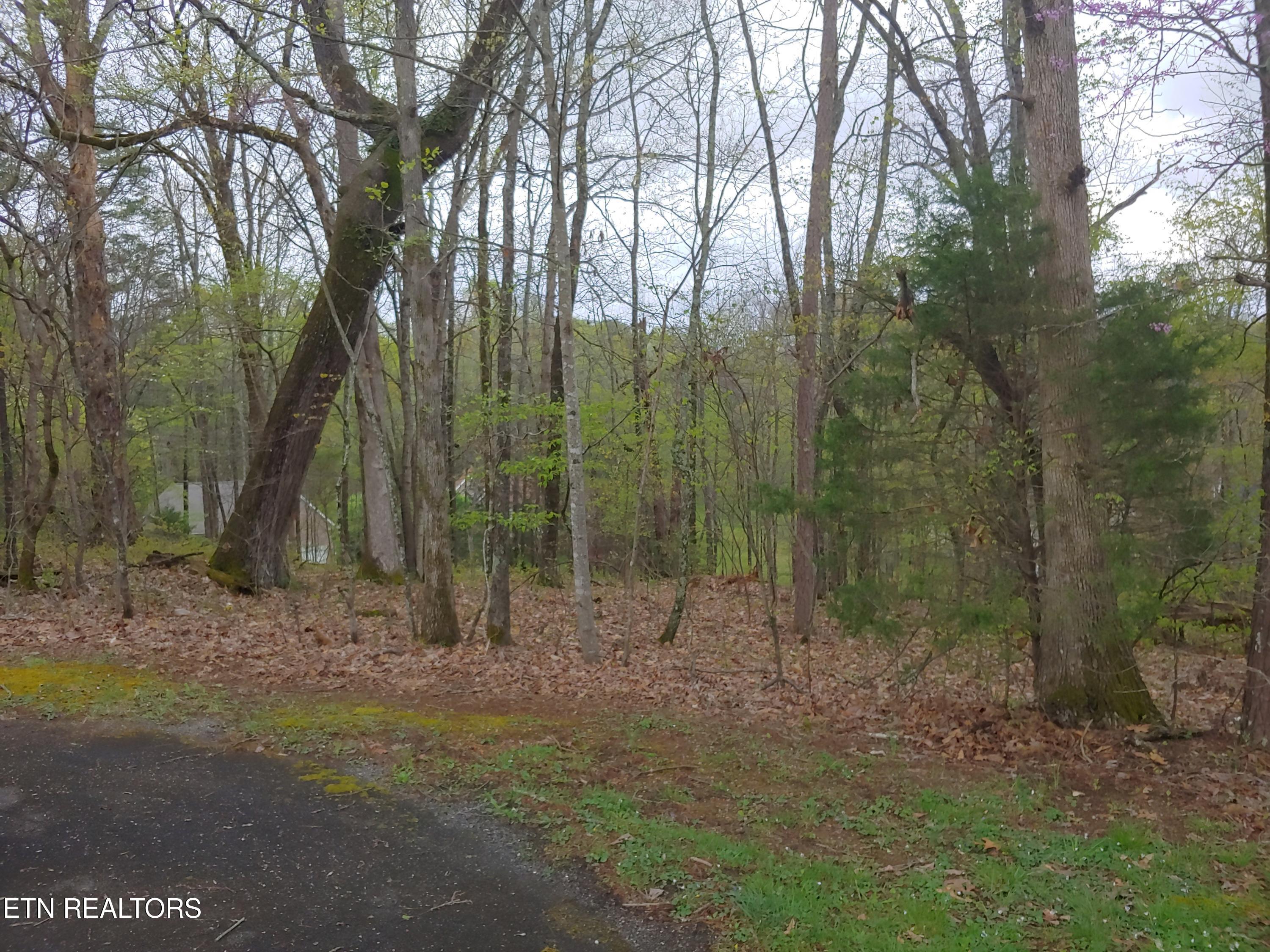 Tomahawk Trail Maryville TN 37801