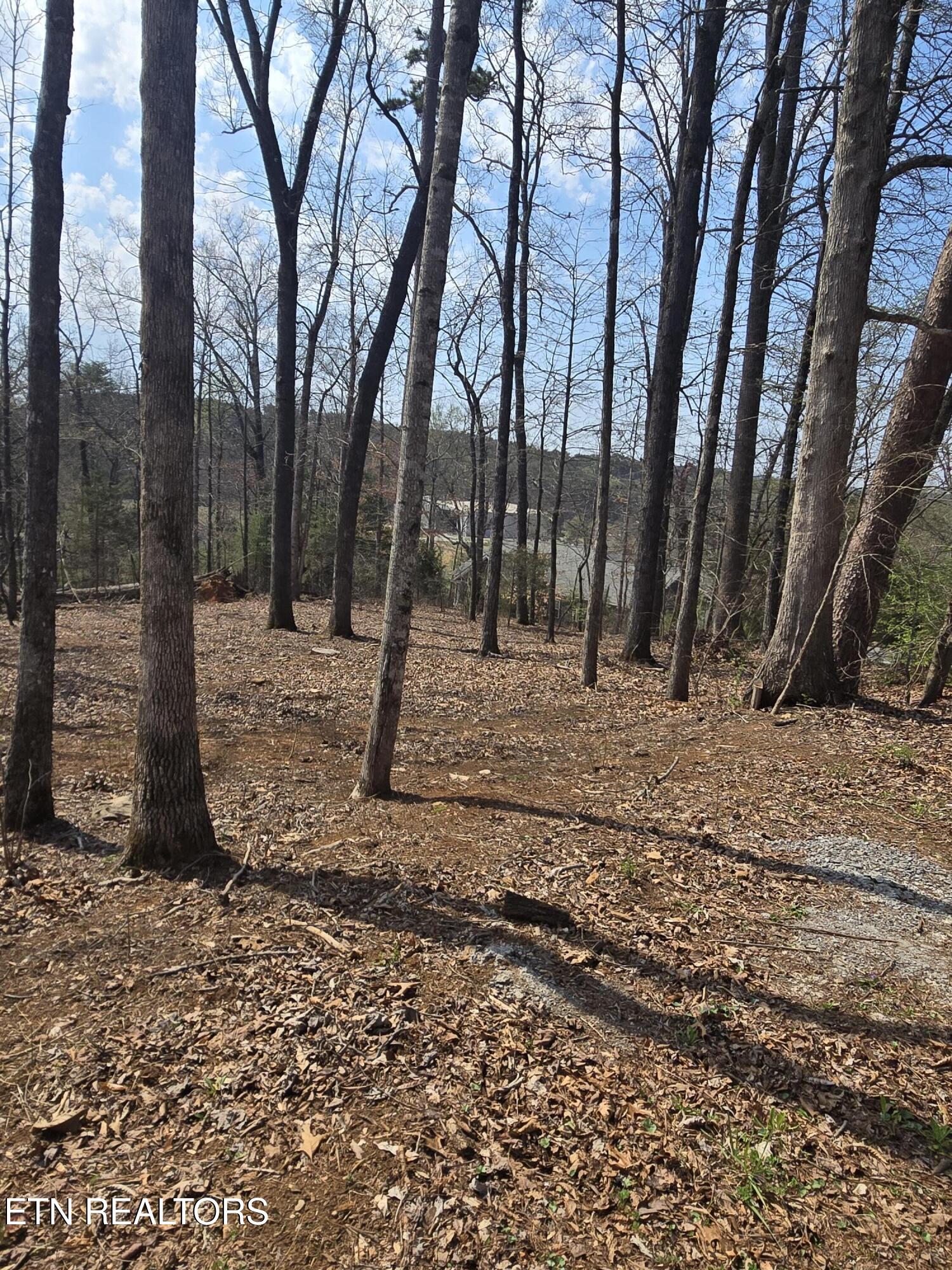Tomahawk Trail Maryville TN 37801