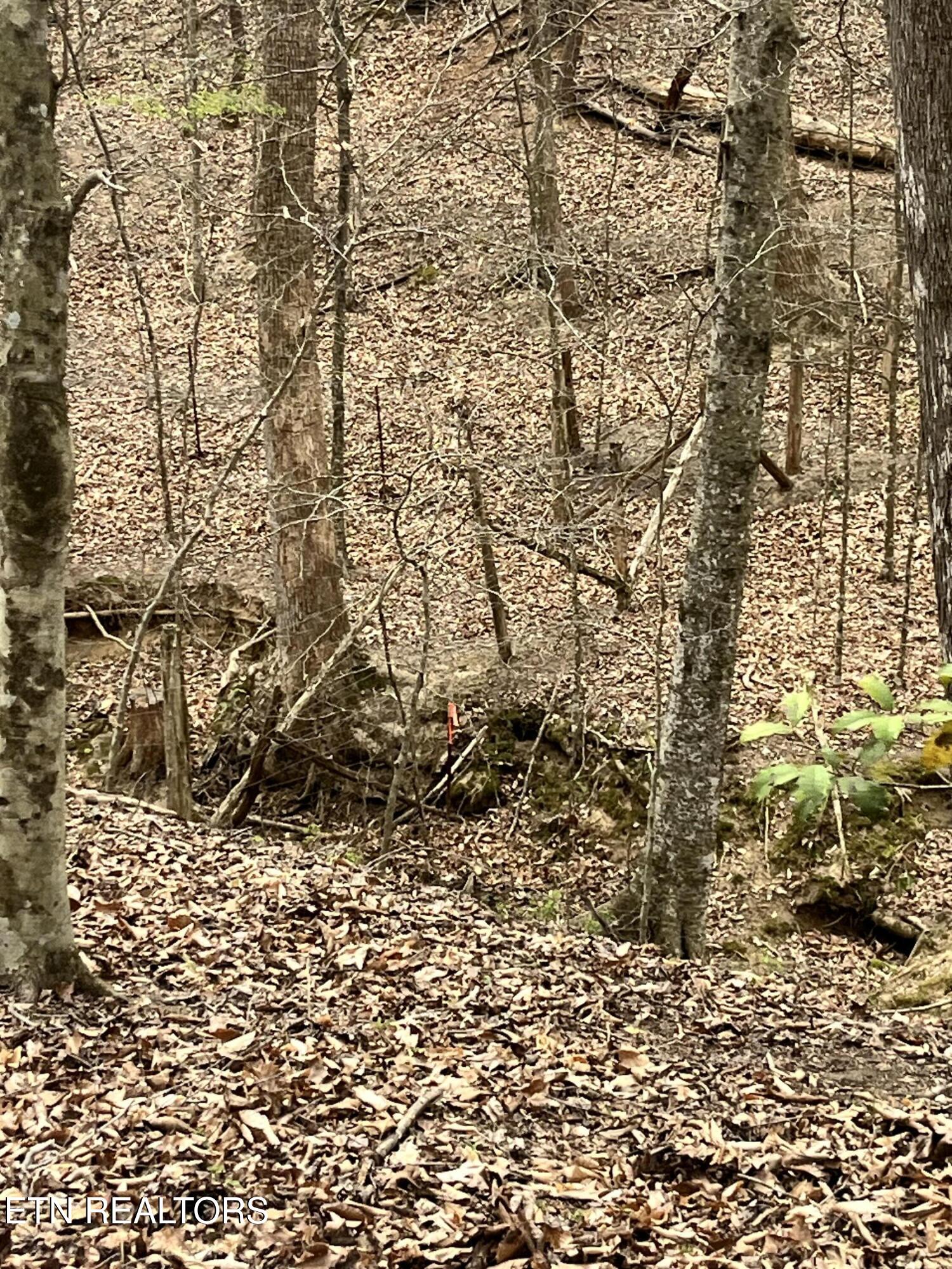 Green Hill Road Madisonville TN 37354