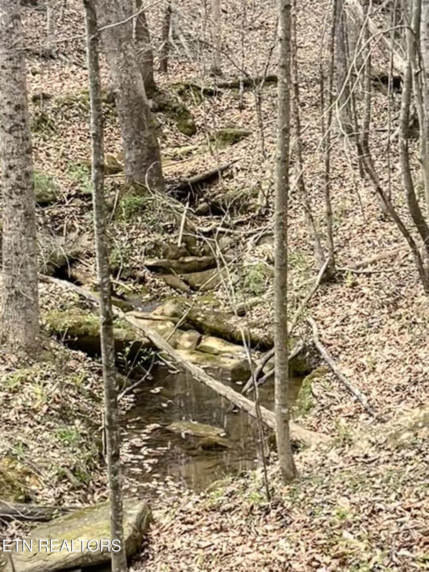 Green Hill Road Madisonville TN 37354