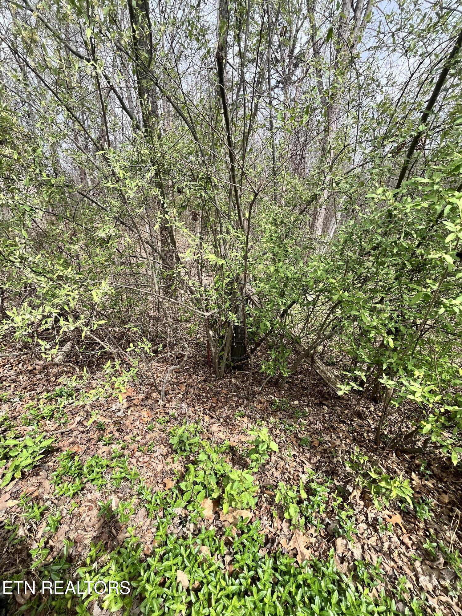 Green Hill Road Madisonville TN 37354