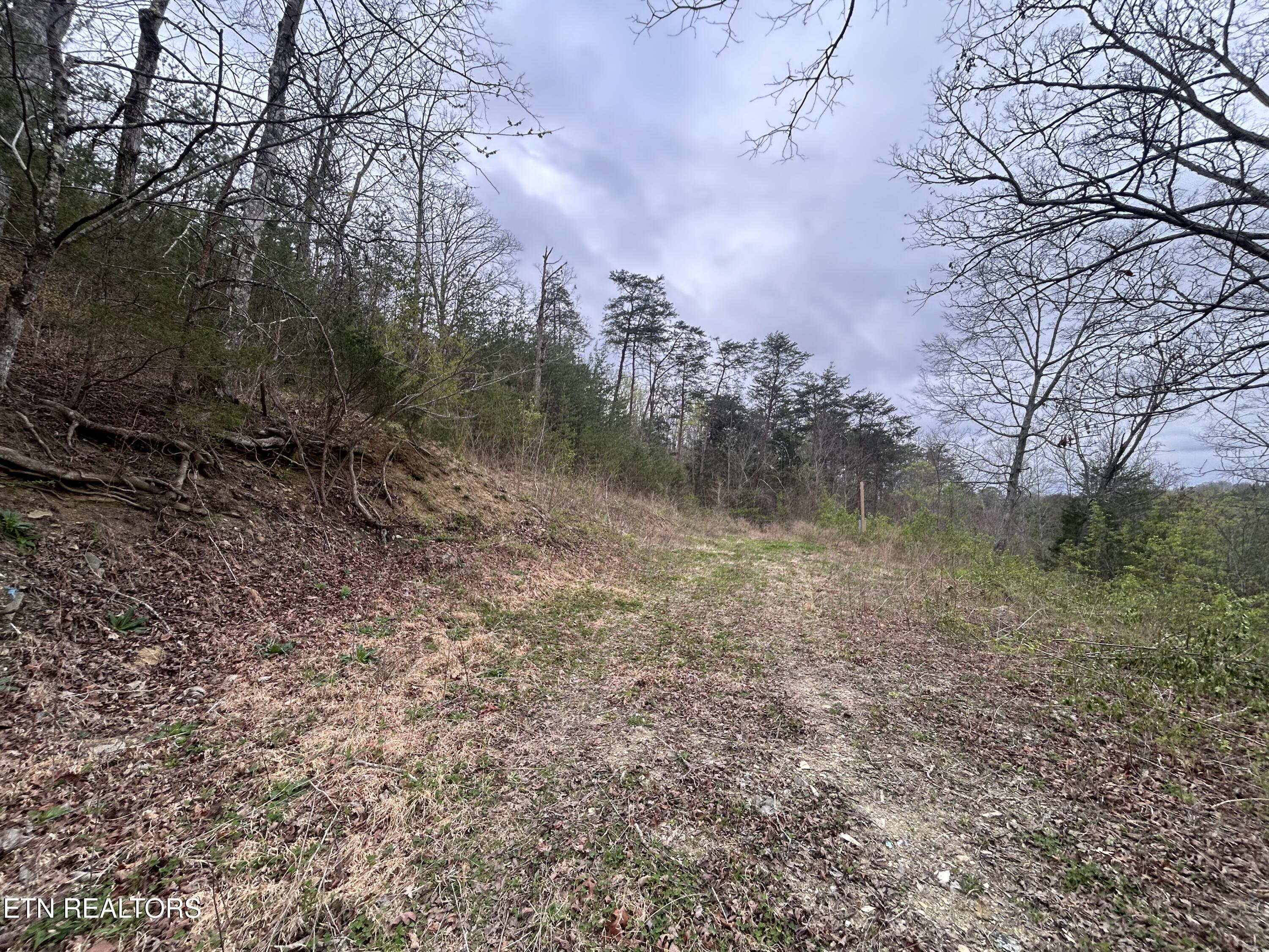 10 Acres Possum Valley Road Maynardville TN 37807