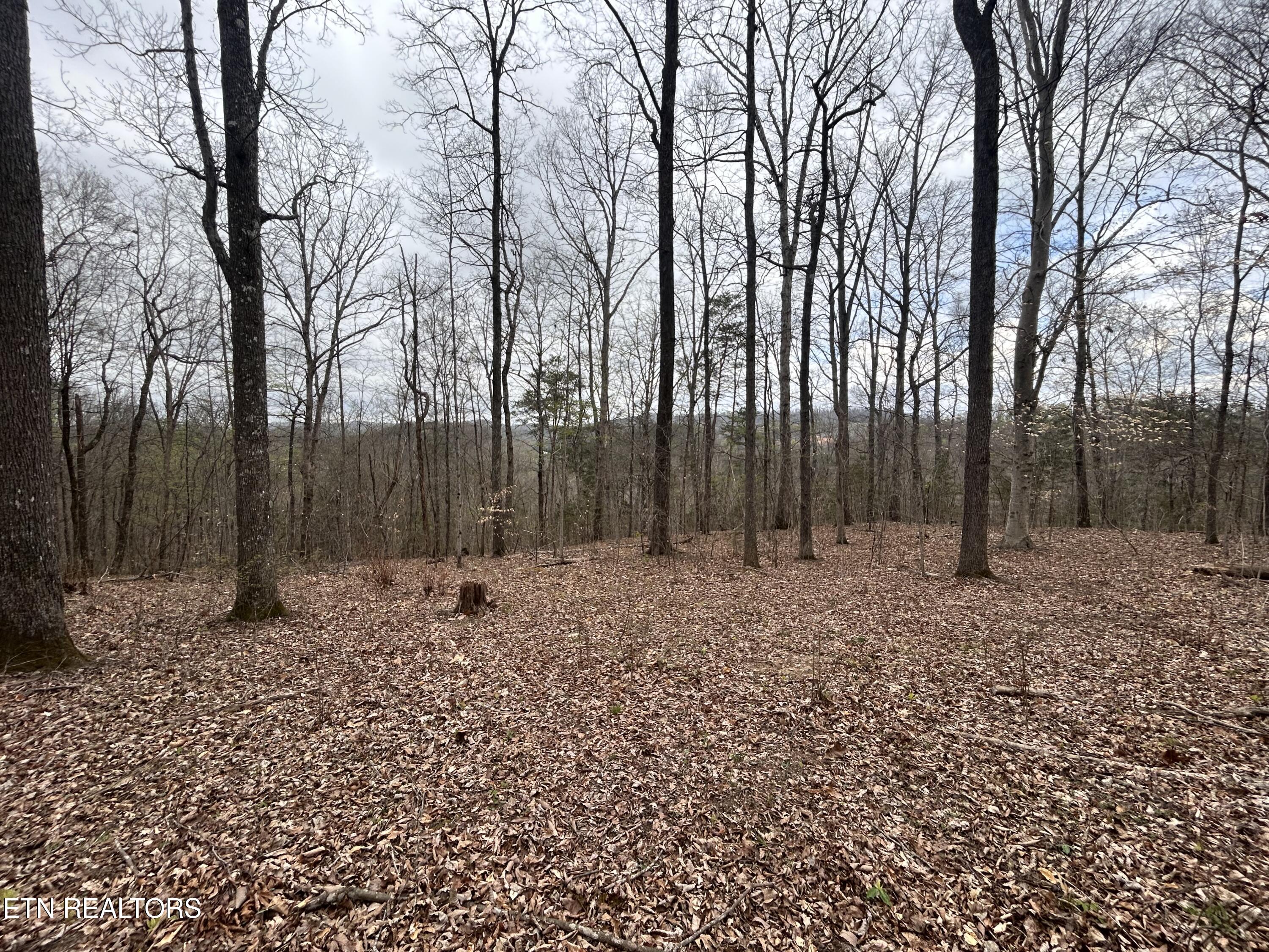 10 Acres Possum Valley Road Maynardville TN 37807
