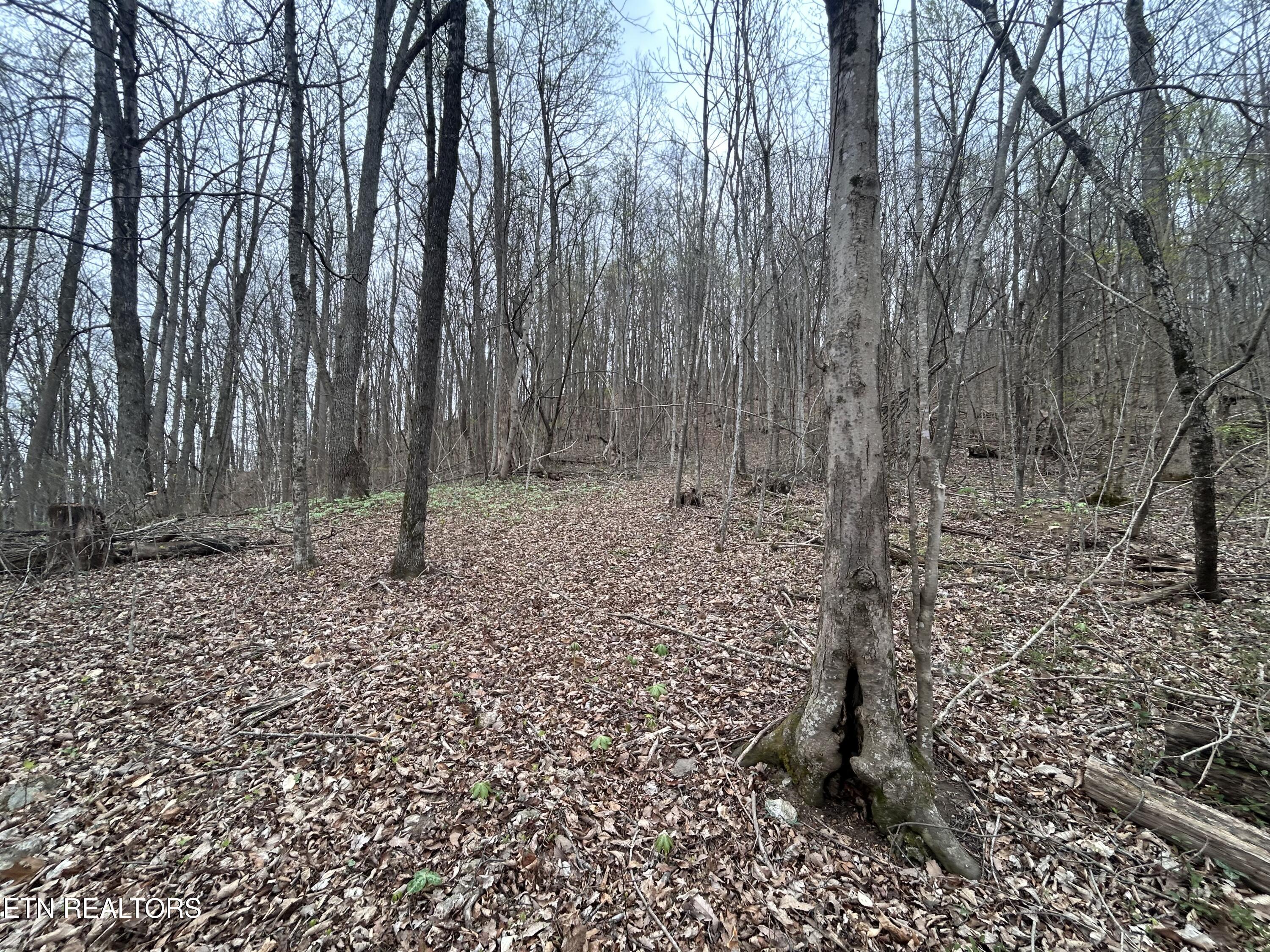 10 Acres Possum Valley Road Maynardville TN 37807