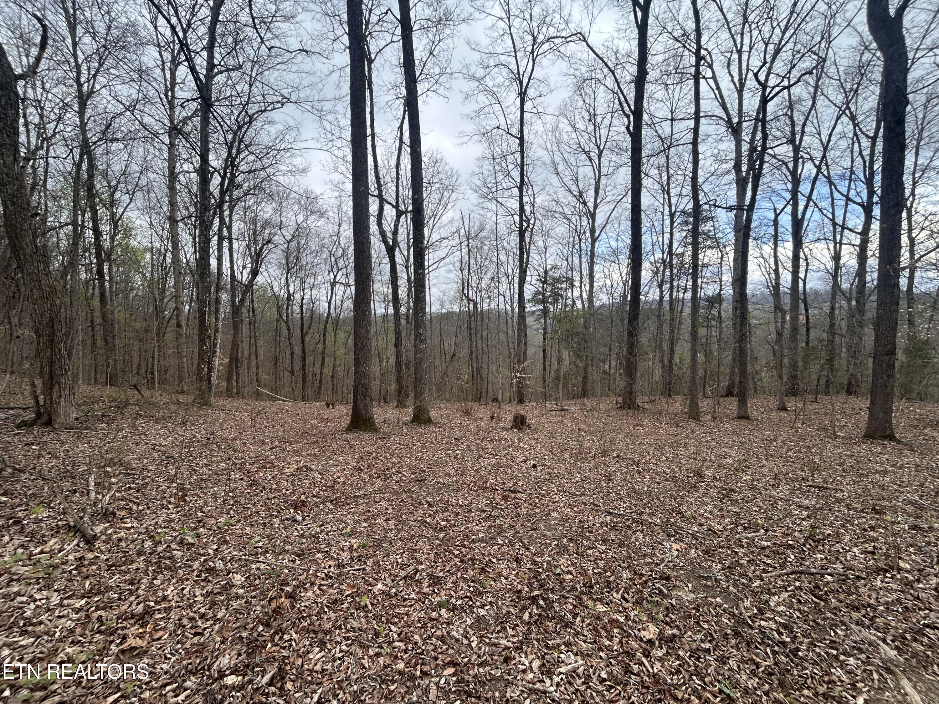 10 Acres Possum Valley Road Maynardville TN 37807