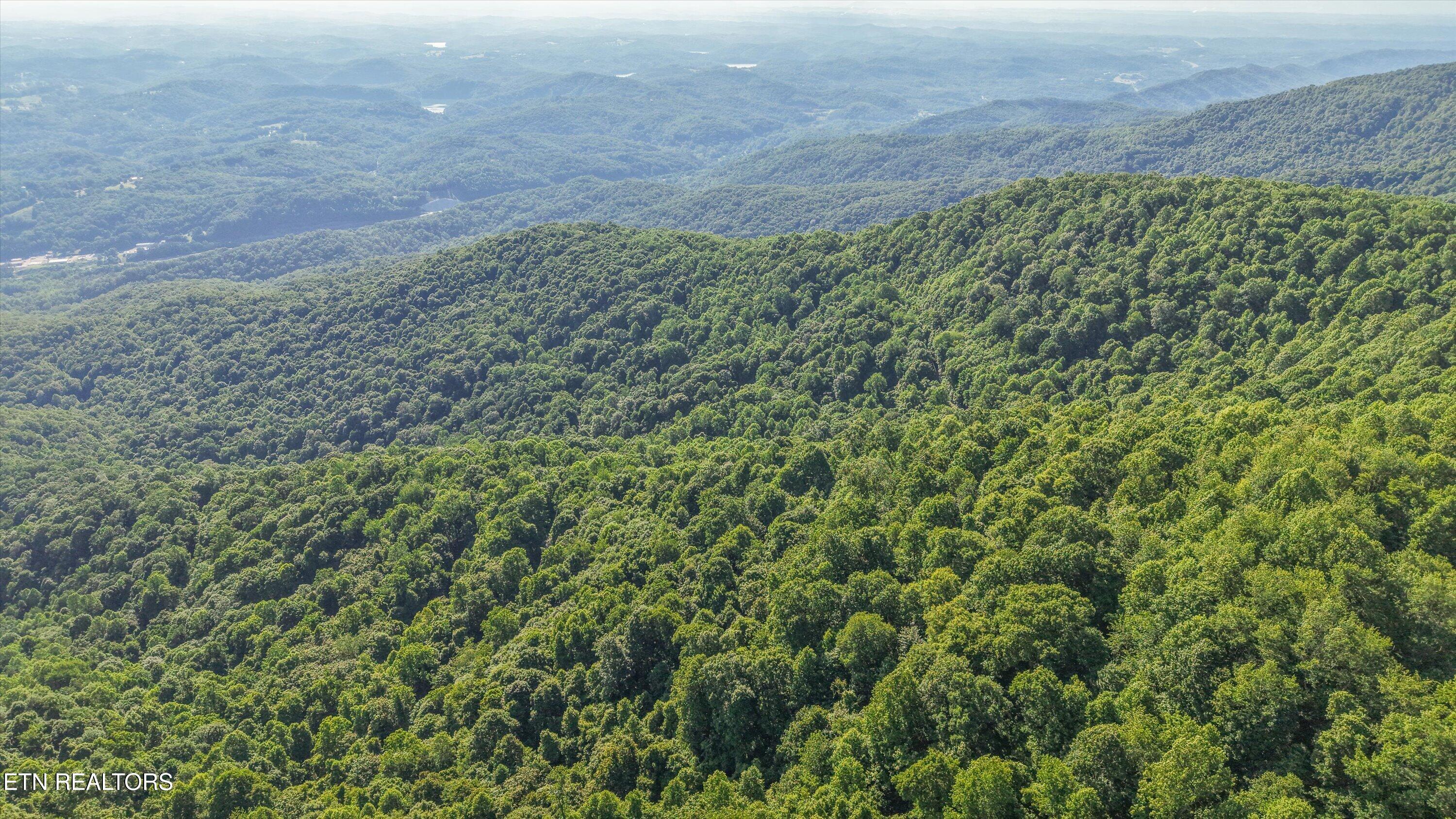 Mountain Road Caryville TN 37714
