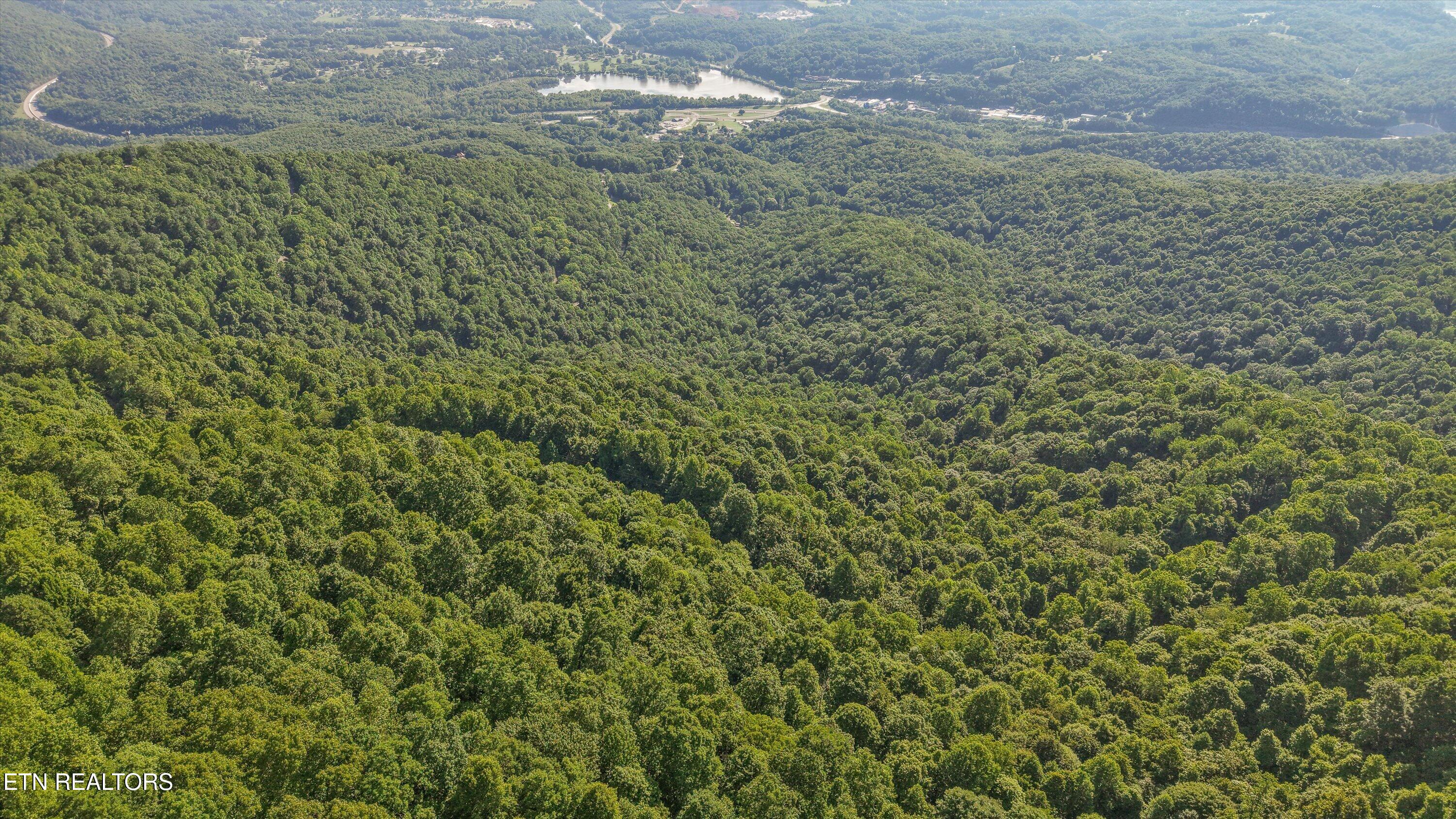 Mountain Road Caryville TN 37714