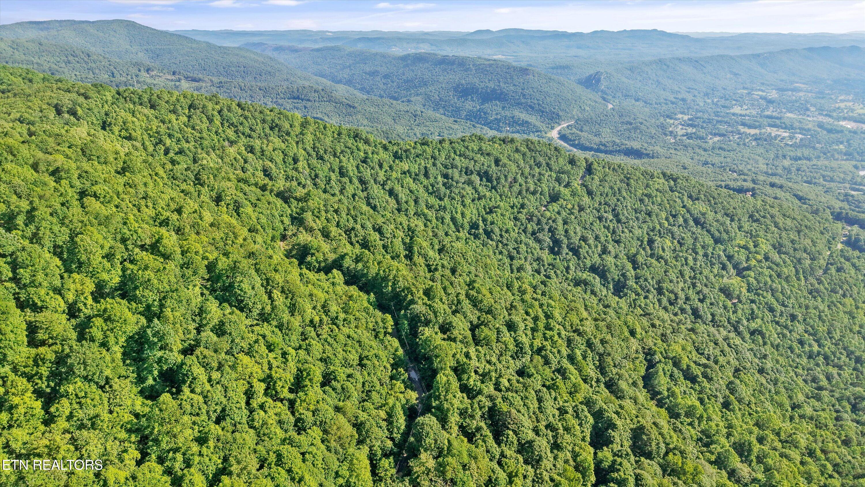 Mountain Road Caryville TN 37714