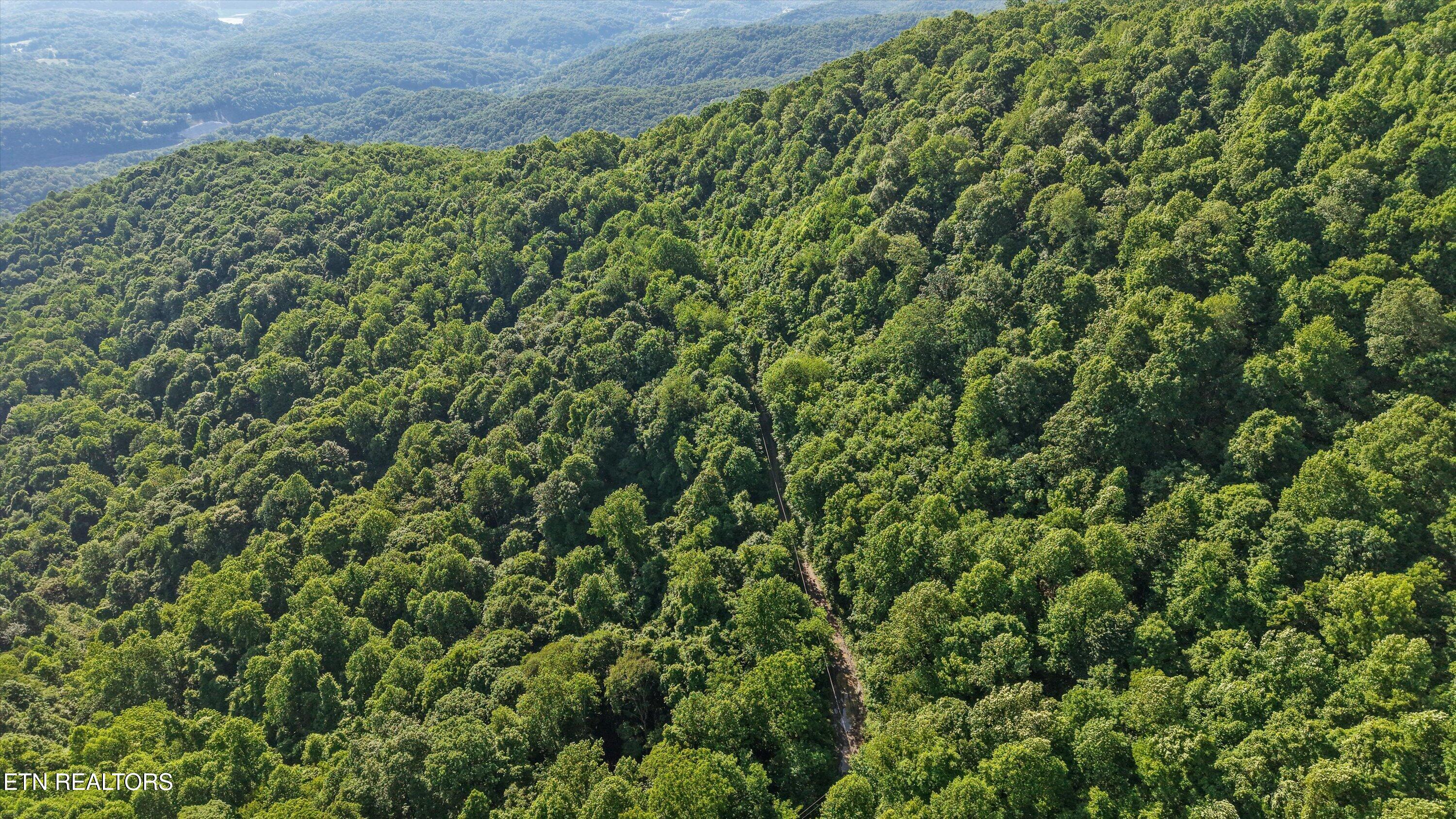 Mountain Road Caryville TN 37714