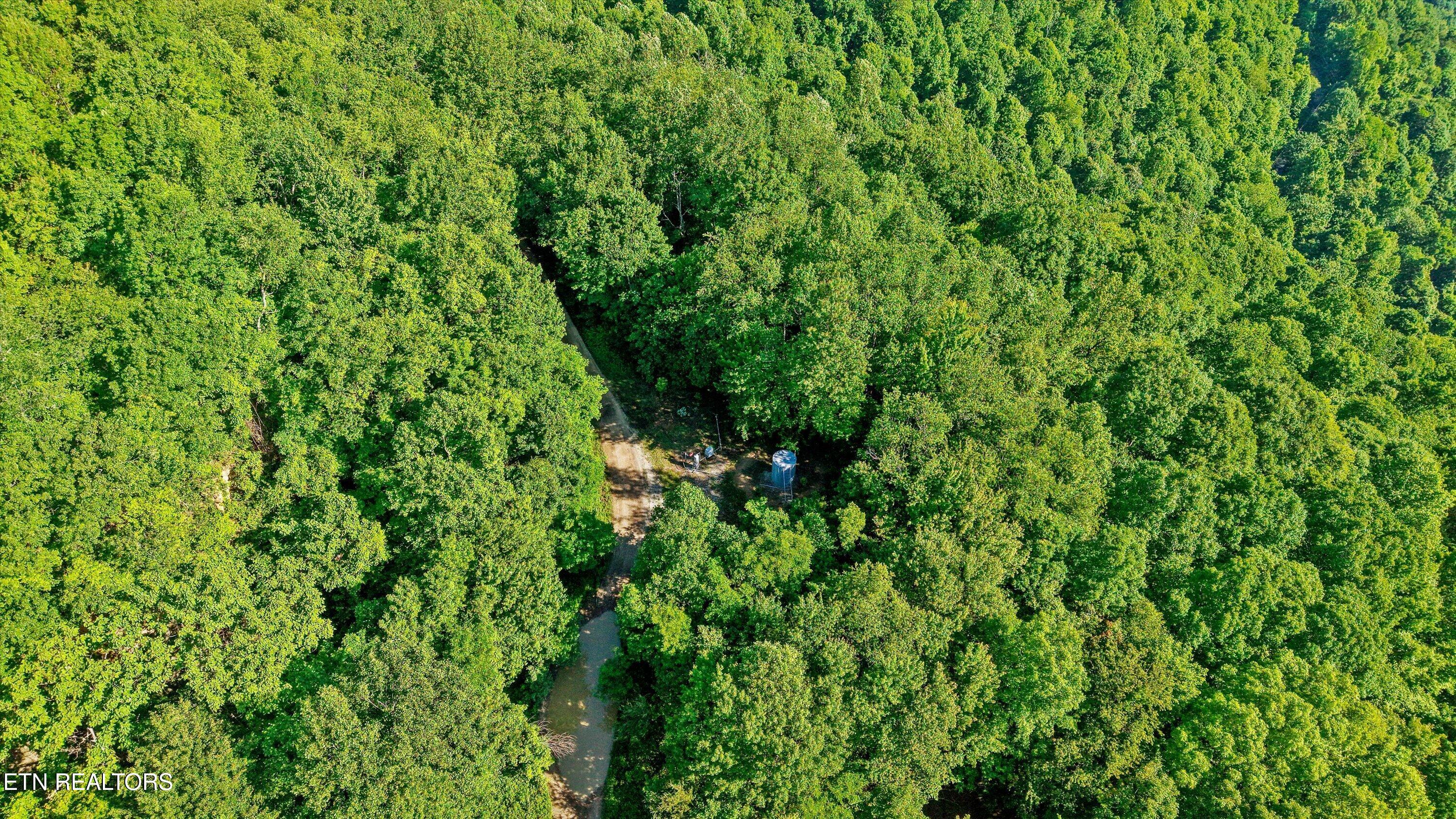 Mountain Road Caryville TN 37714