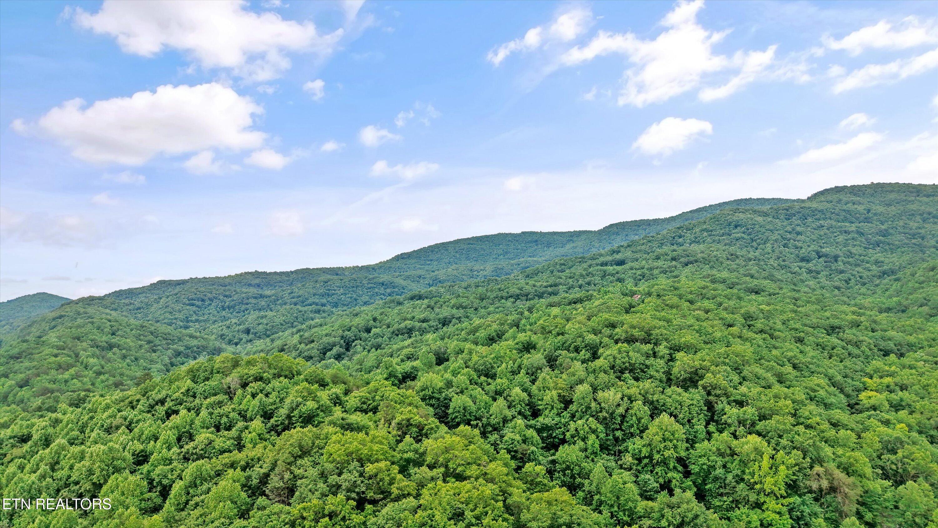 Mountain Road Caryville TN 37714