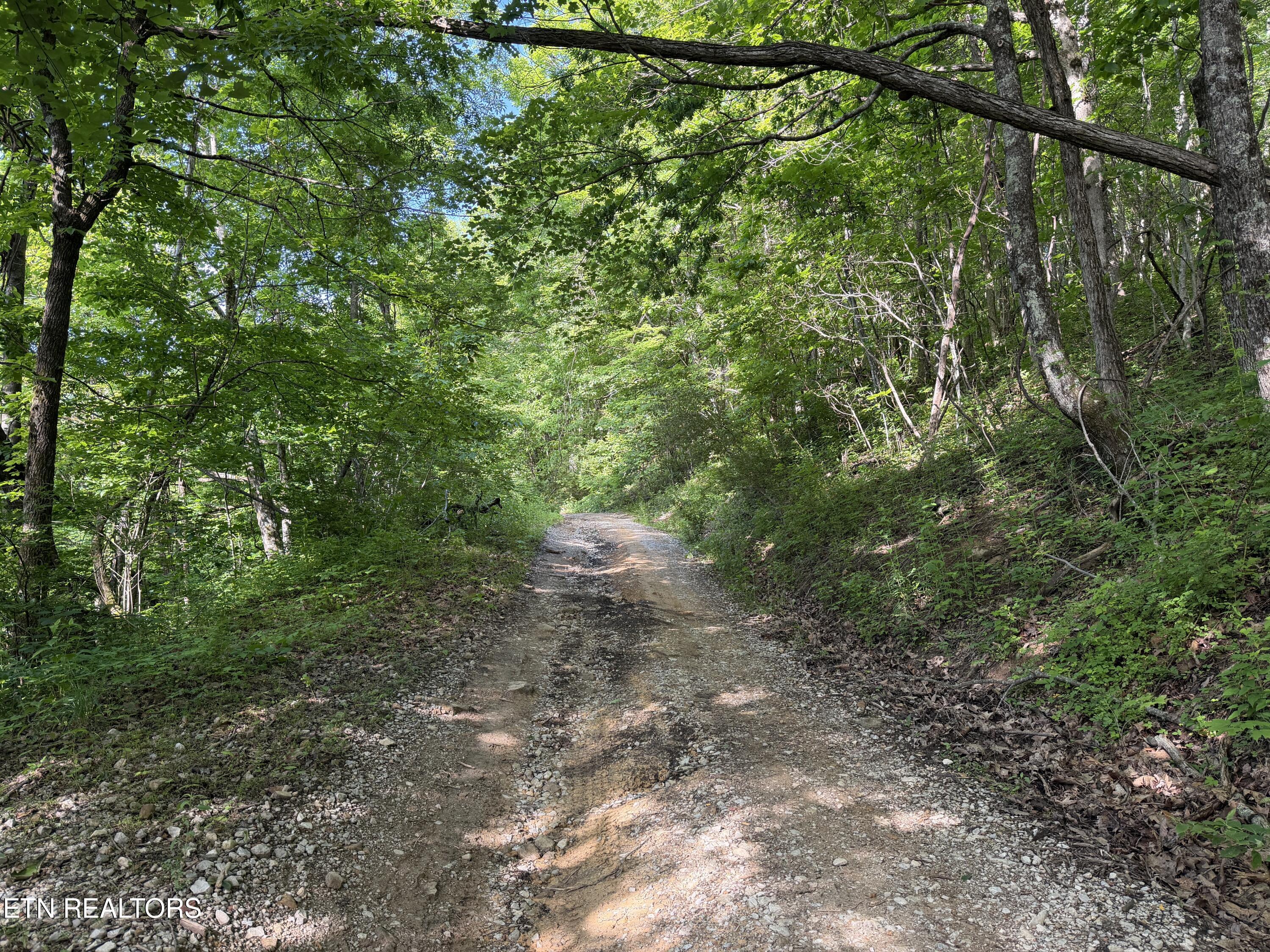 Mountain Road Caryville TN 37714
