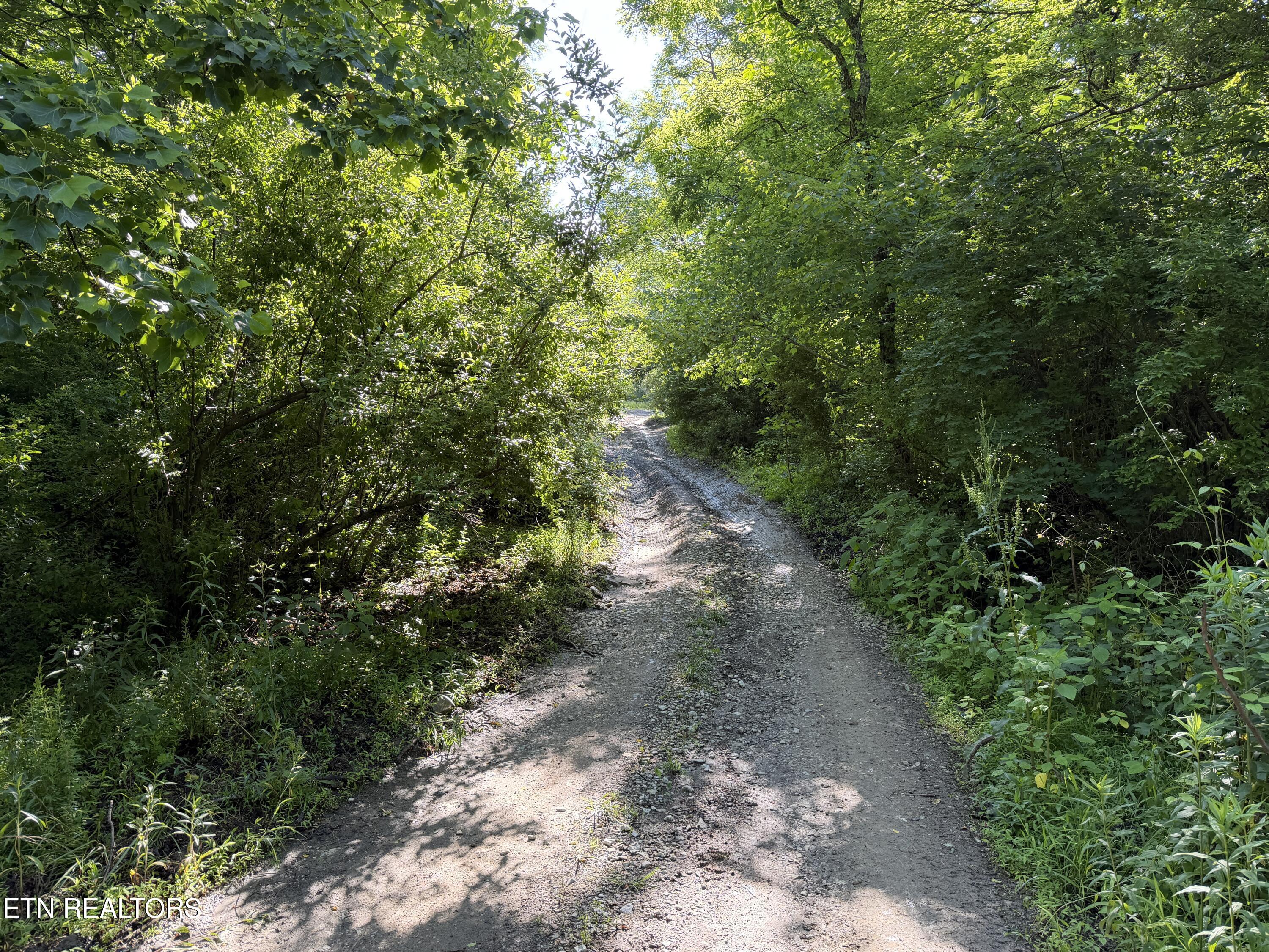 Mountain Road Caryville TN 37714