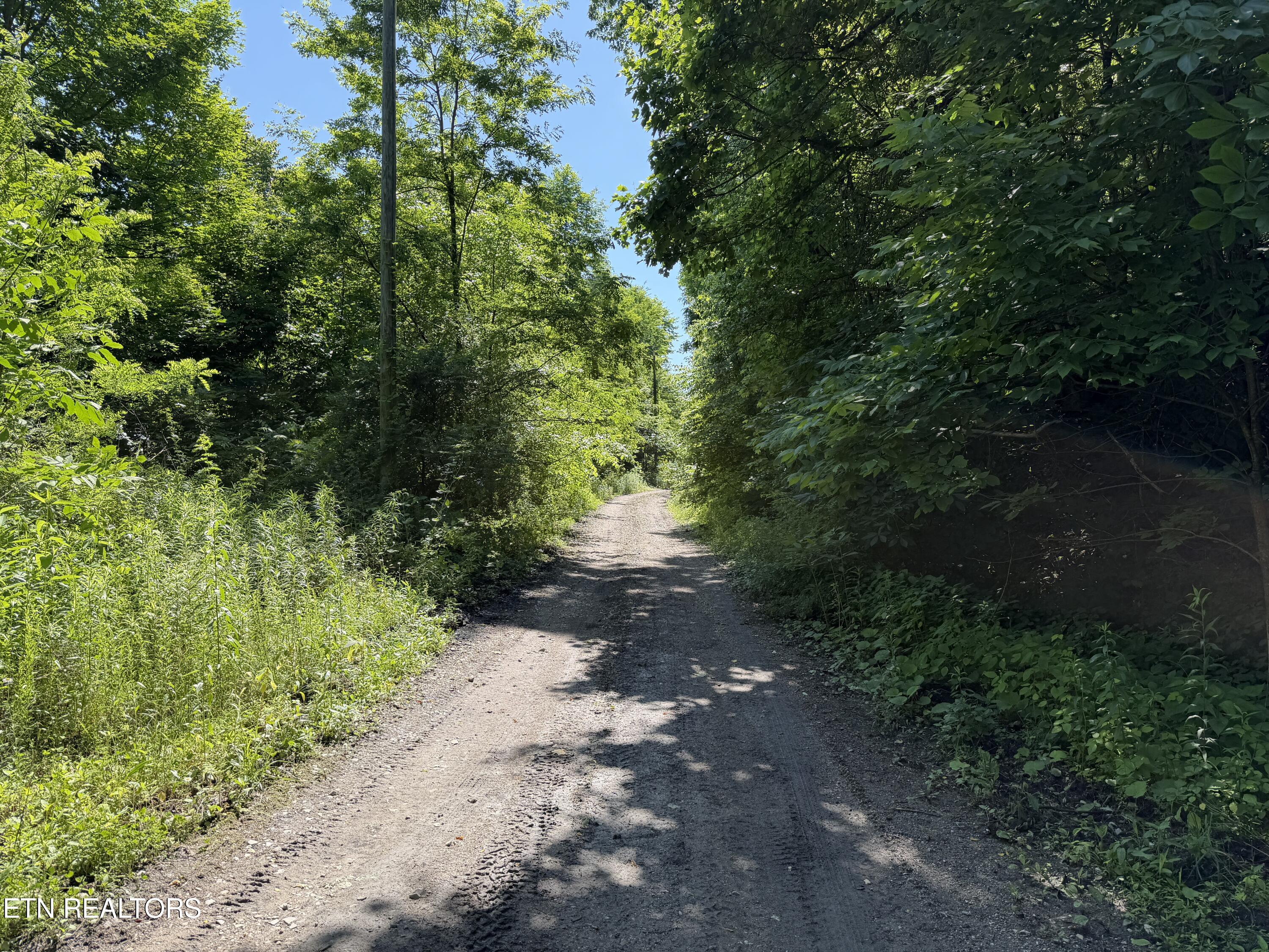 Mountain Road Caryville TN 37714