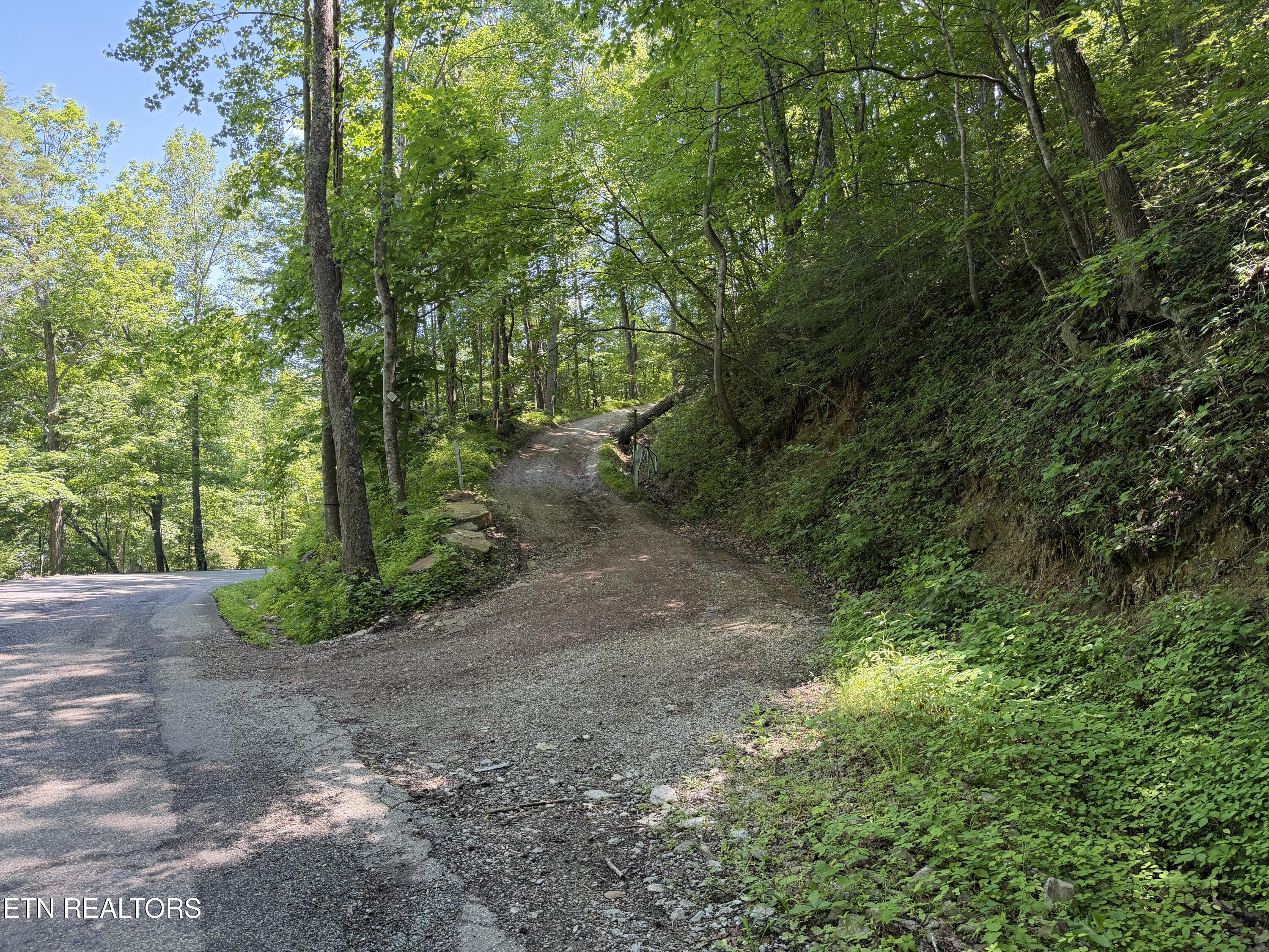 Mountain Road Caryville TN 37714