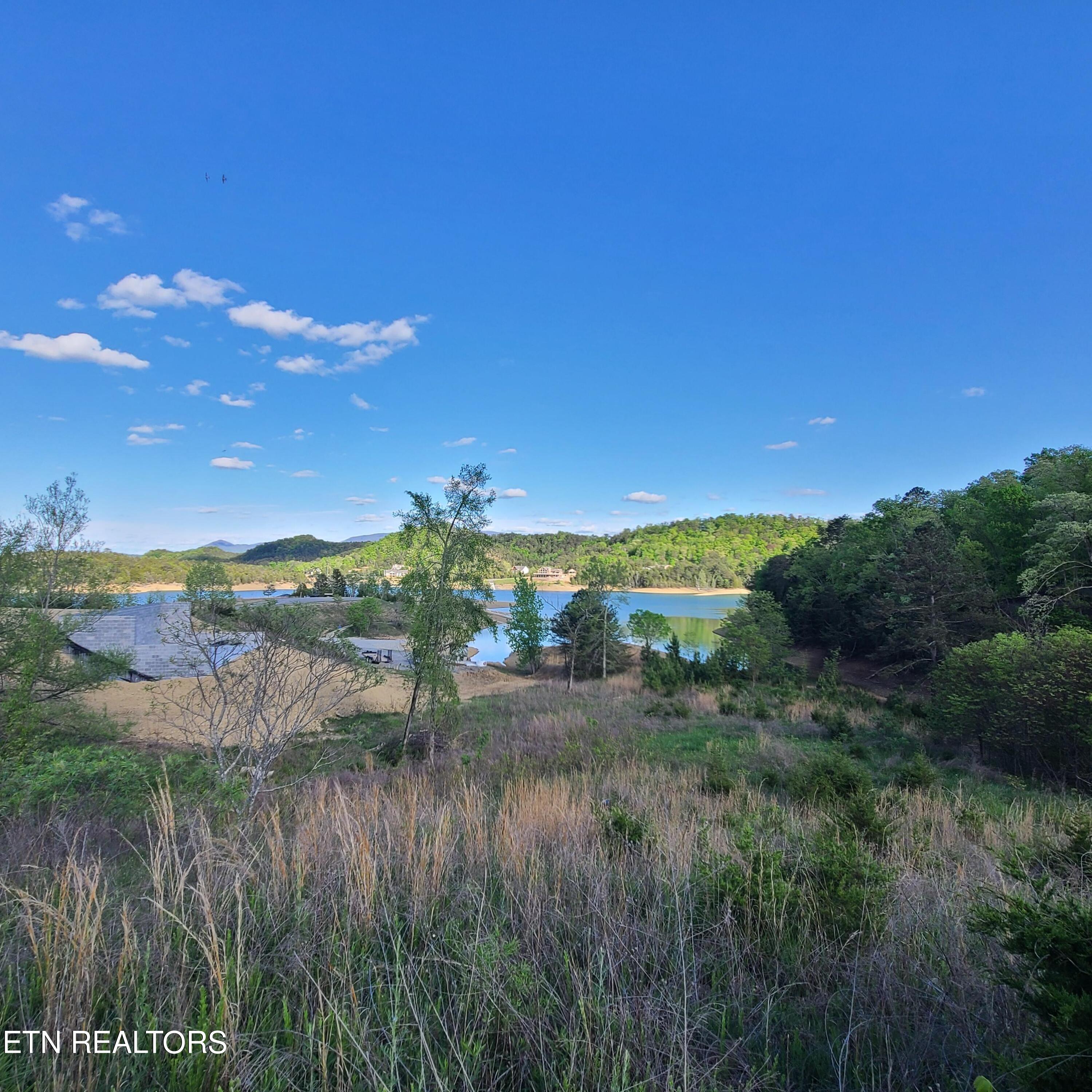 Lot 24 Emerald Pointe Boulevard Dandridge TN 37725