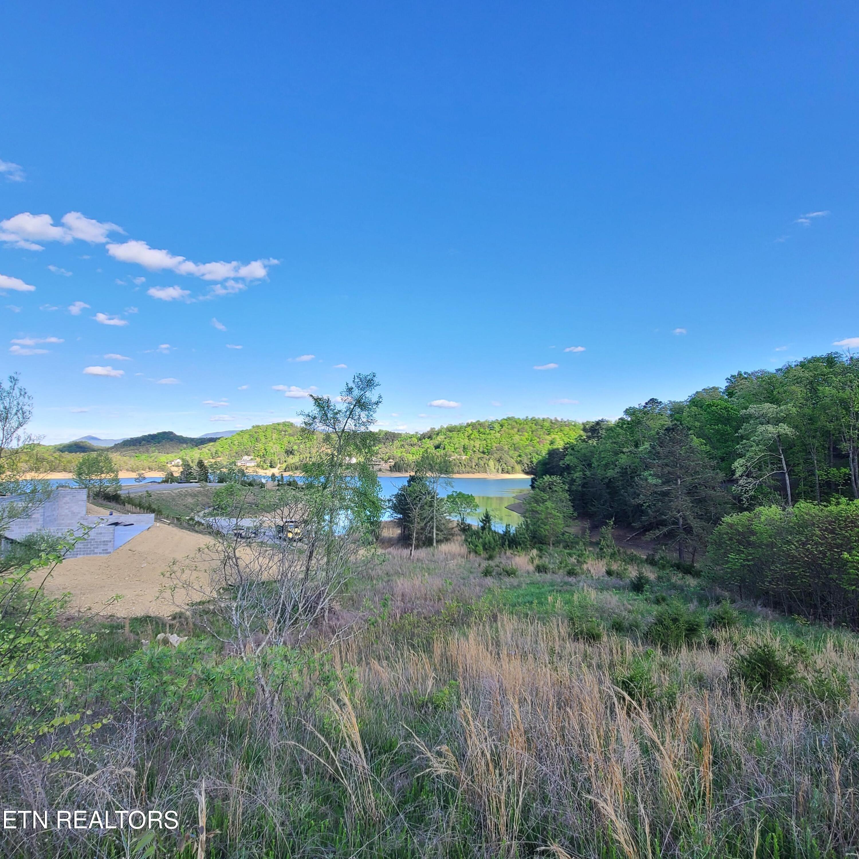 Lot 24 Emerald Pointe Boulevard Dandridge TN 37725