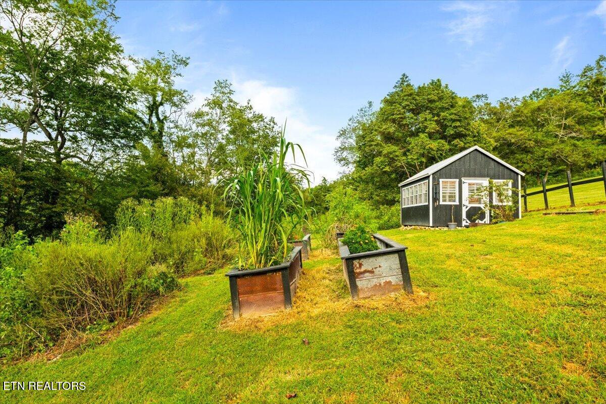 2938 Cedar Creek Road Lafollette TN 37766
