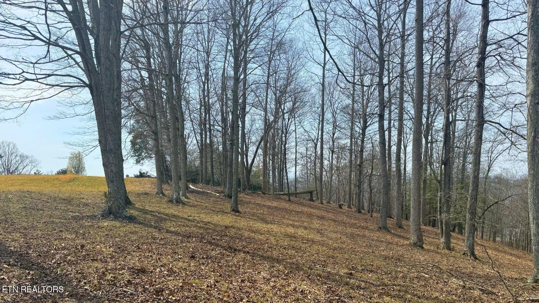 Deer Creek Path Lafollette TN 37766