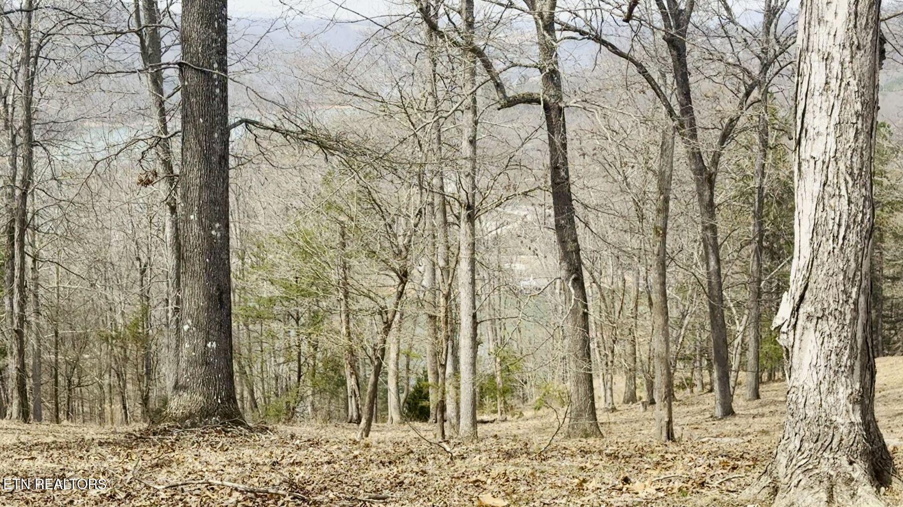 Deer Creek Path Lafollette TN 37766