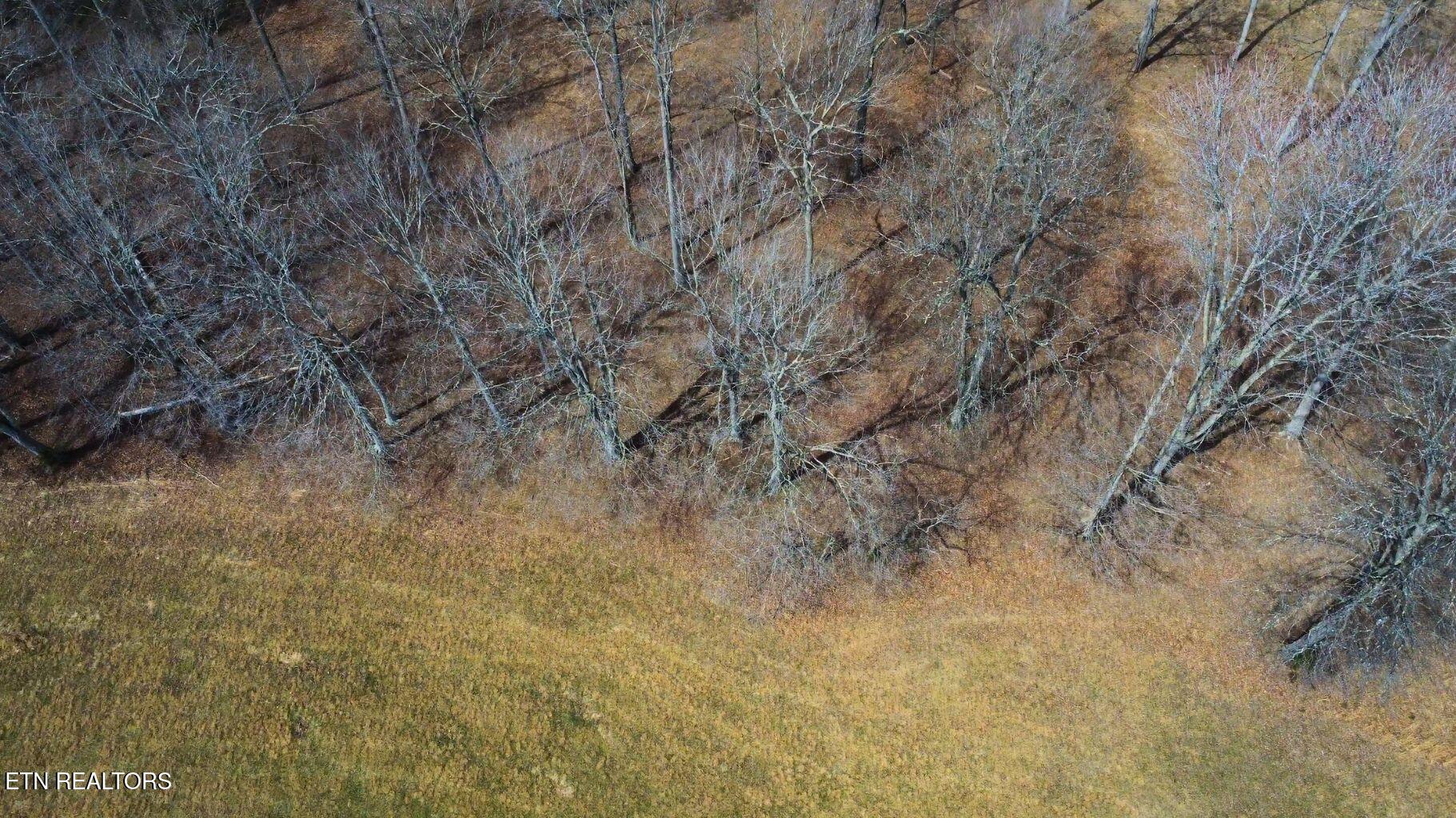 Deer Creek Path Lafollette TN 37766
