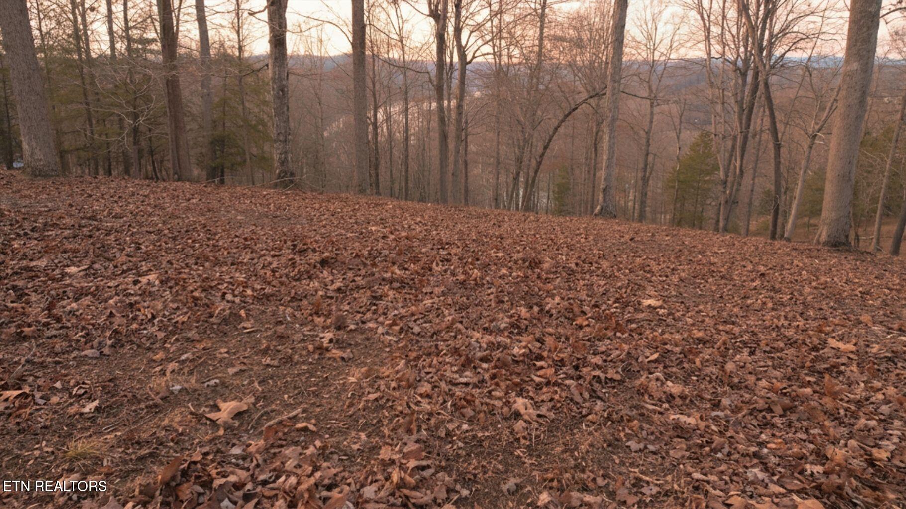 Deer Creek Path Lafollette TN 37766