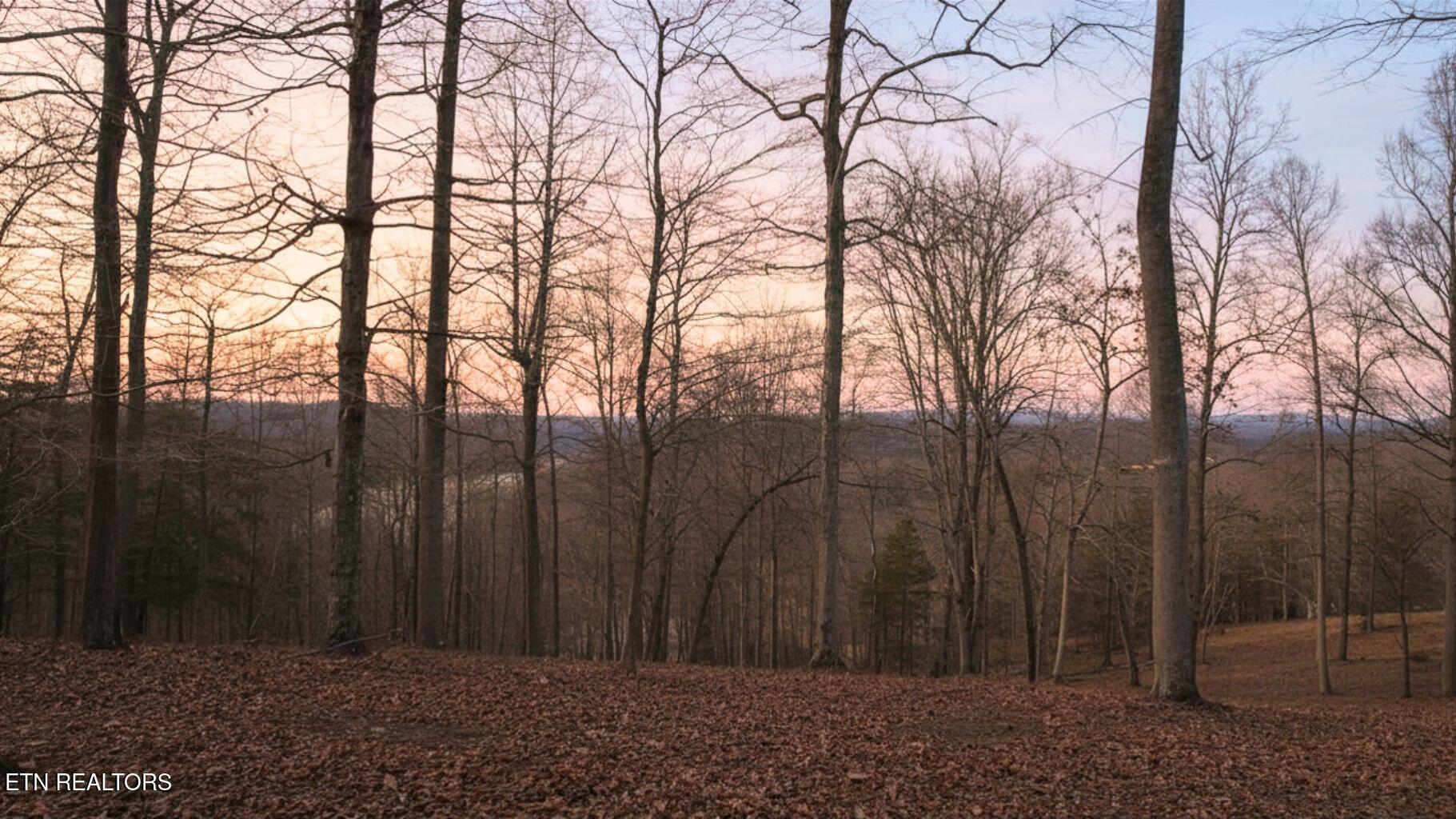 Deer Creek Path Lafollette TN 37766