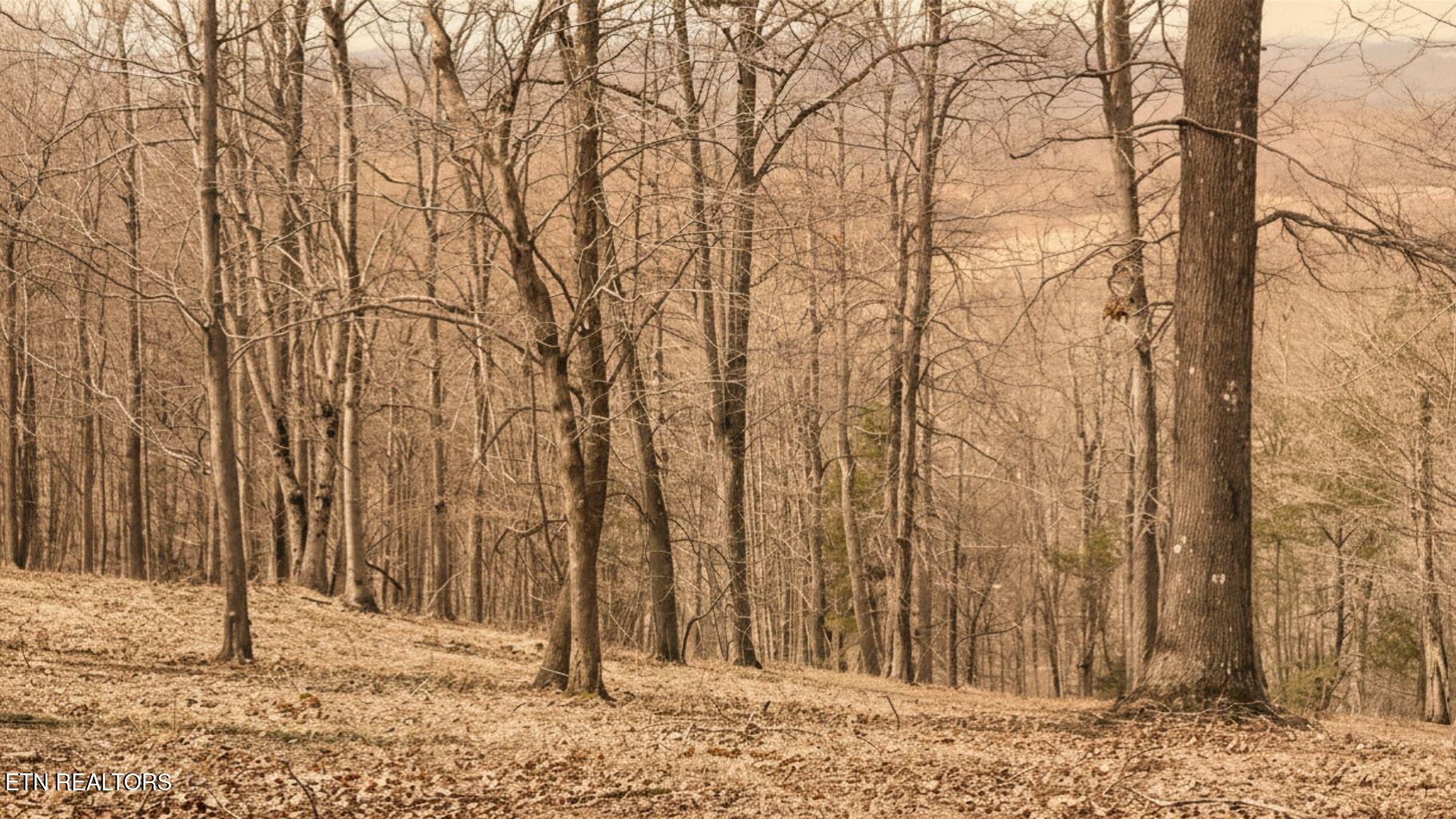 Deer Creek Path Lafollette TN 37766