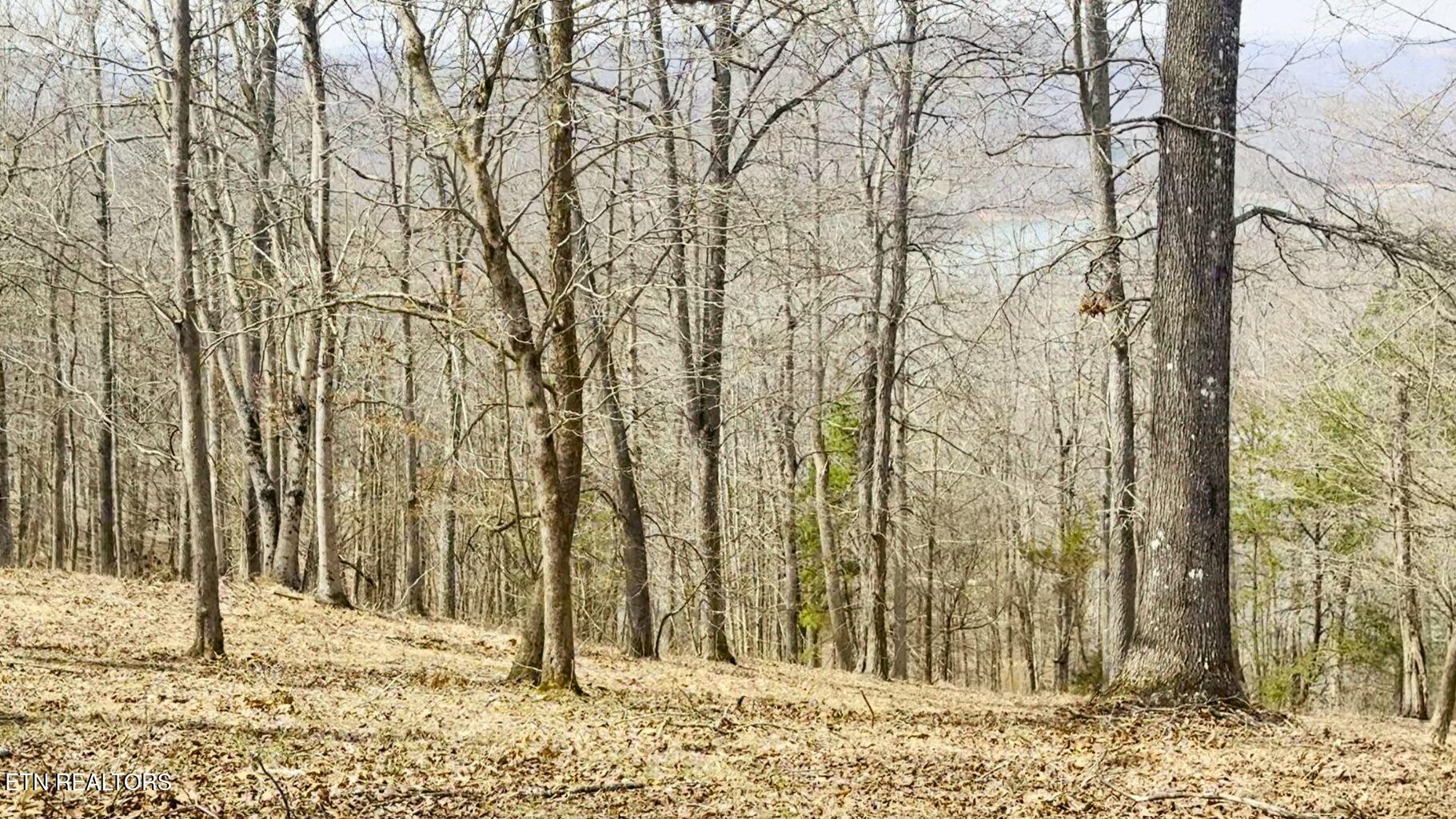 Deer Creek Path Lafollette TN 37766