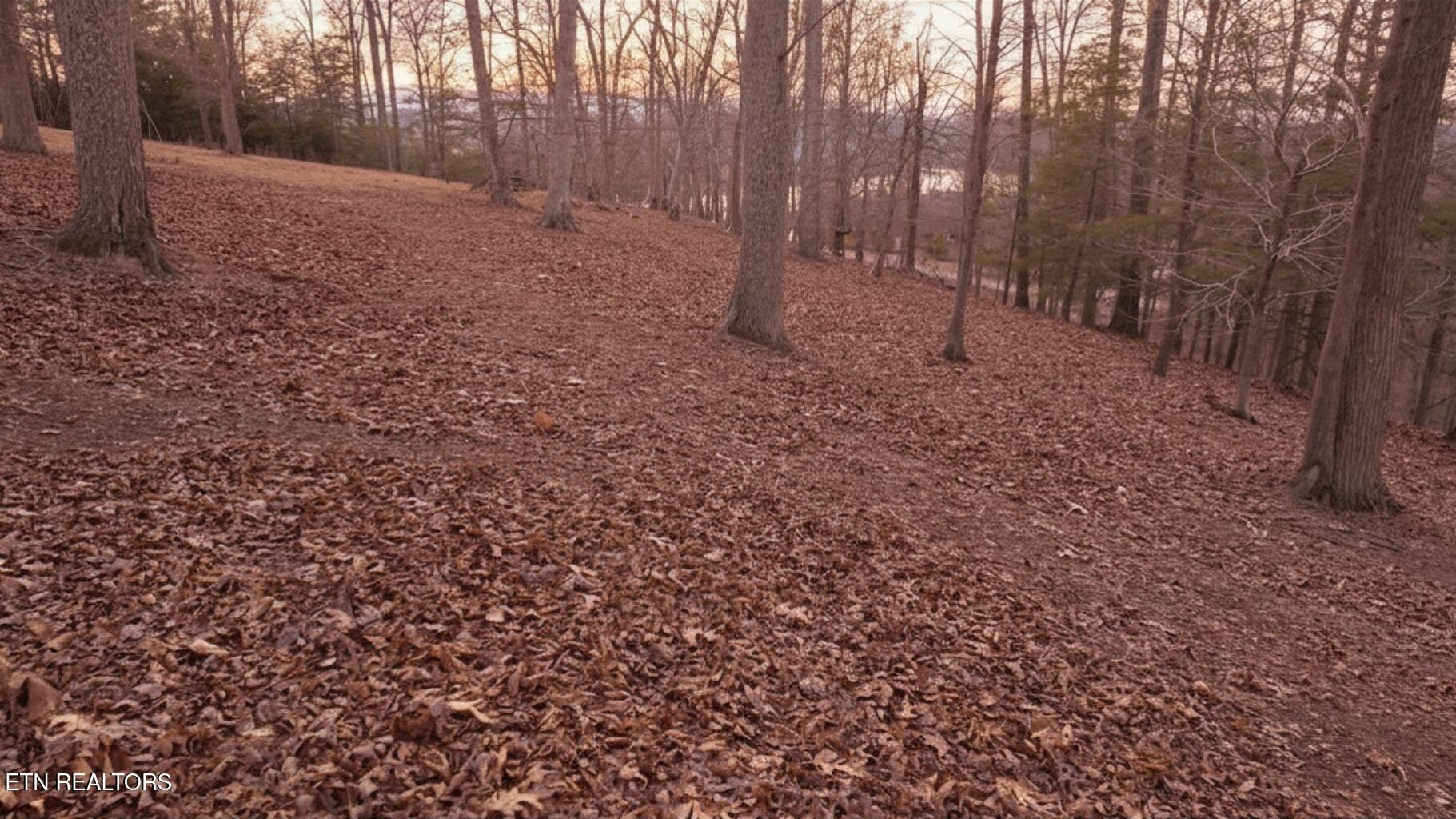 Deer Creek Path Lafollette TN 37766